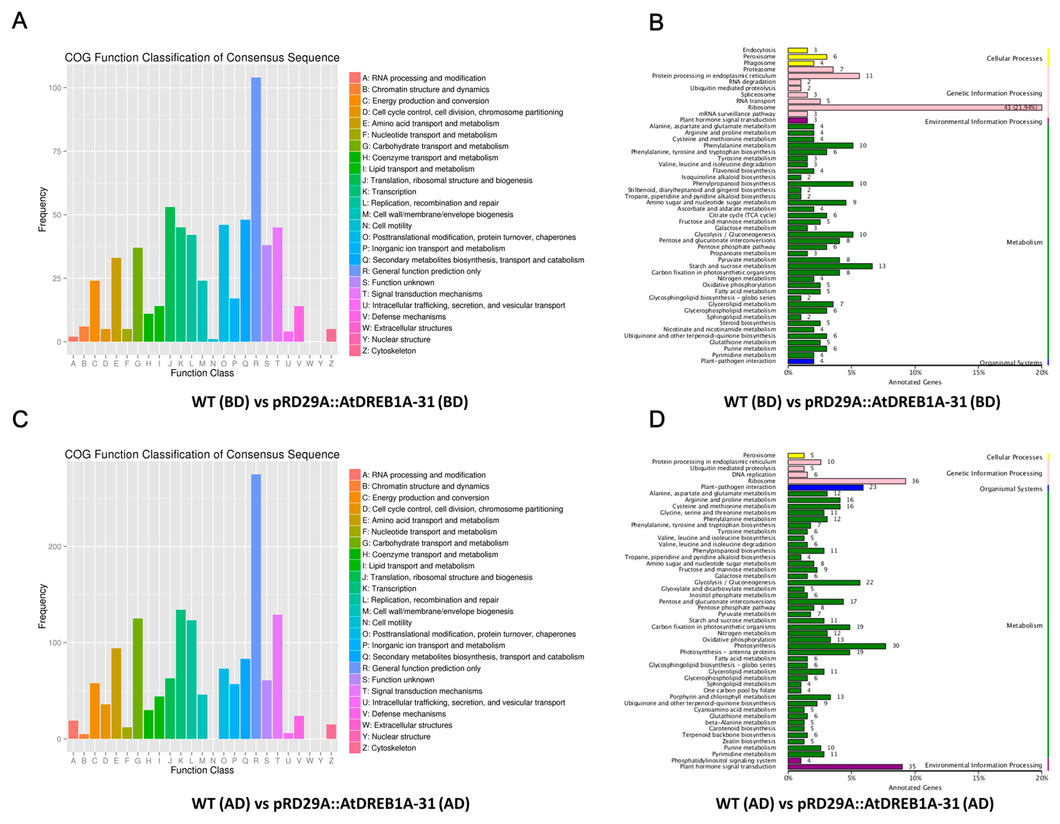 Ijms 19 00827 g005 Ijms 19 00827 g005