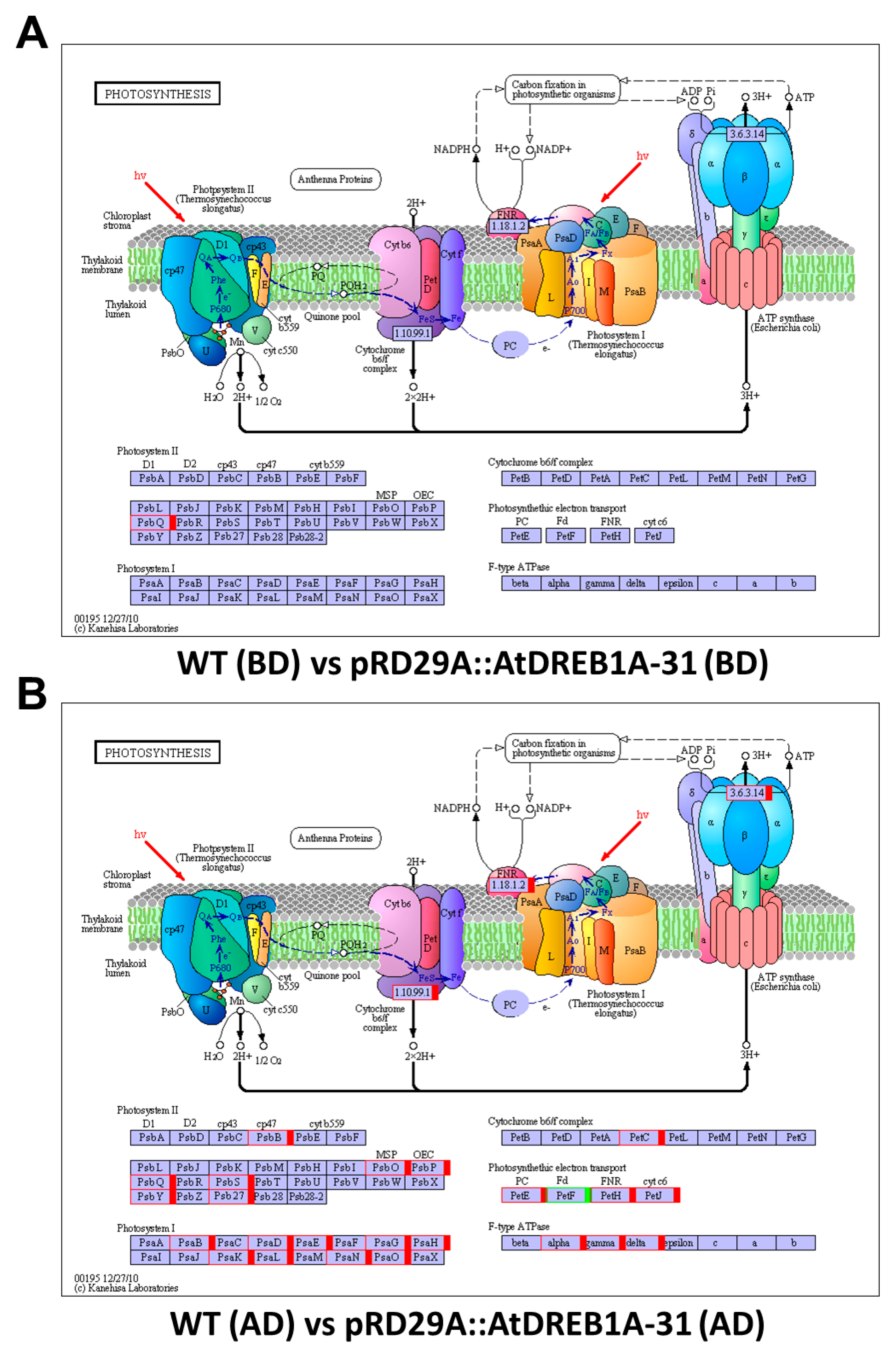 Ijms 19 00827 g007 Ijms 19 00827 g007