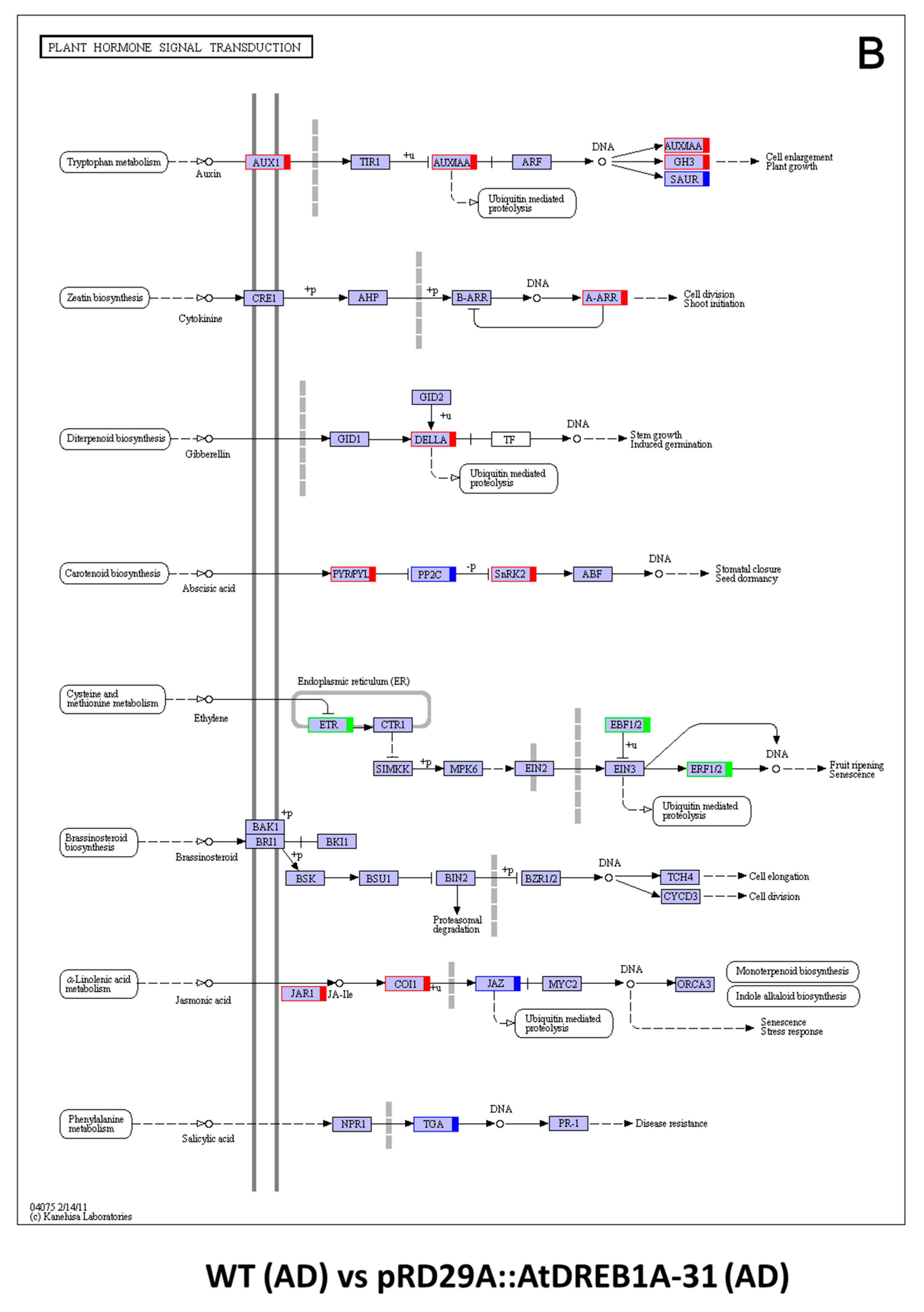 Ijms 19 00827 g008b Ijms 19 00827 g008b