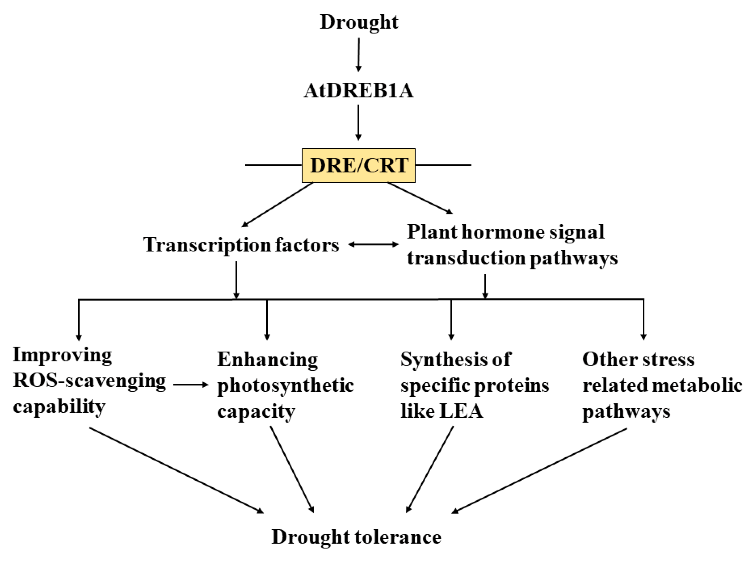 Ijms 19 00827 g010 Ijms 19 00827 g010