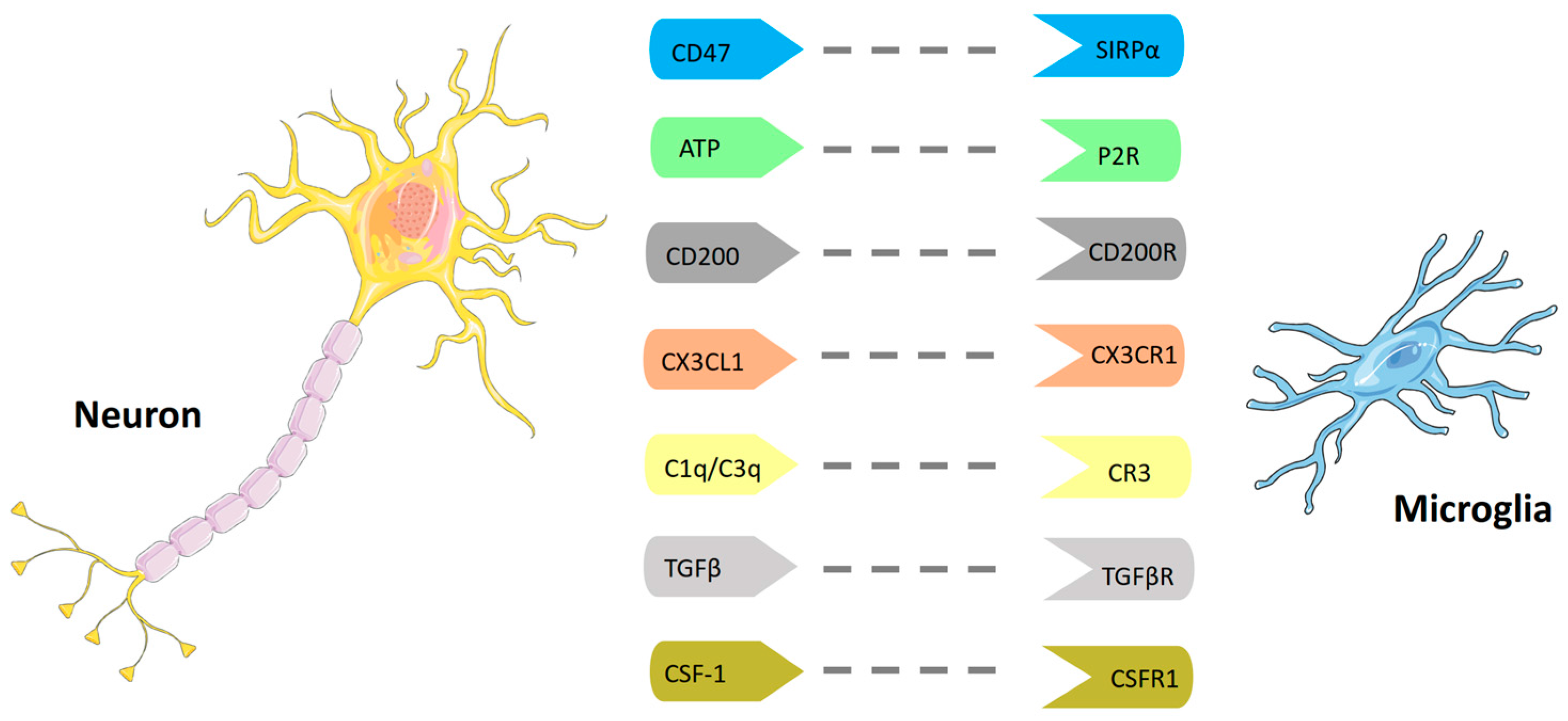 Ijms 19 00831 g002 Ijms 19 00831 g002