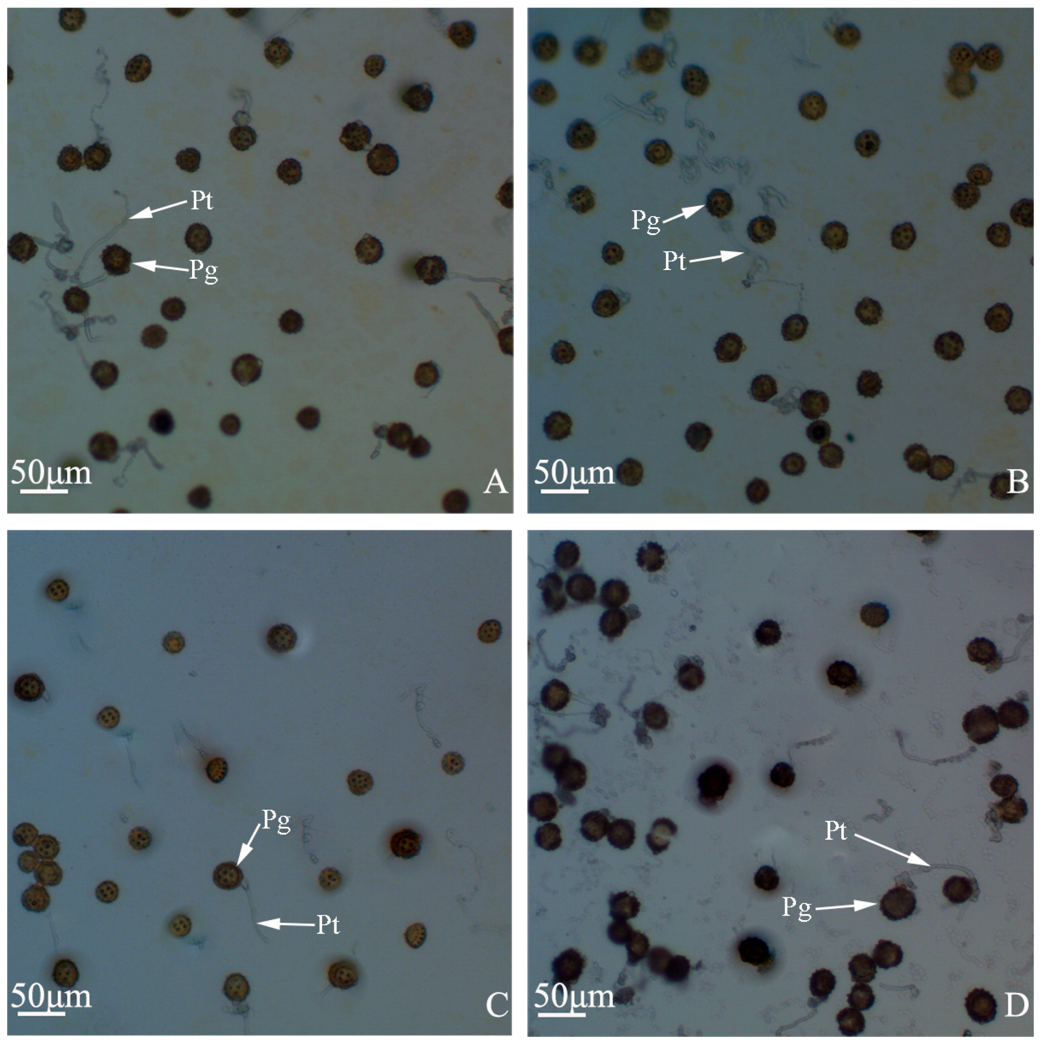 Ijms 19 00832 g003