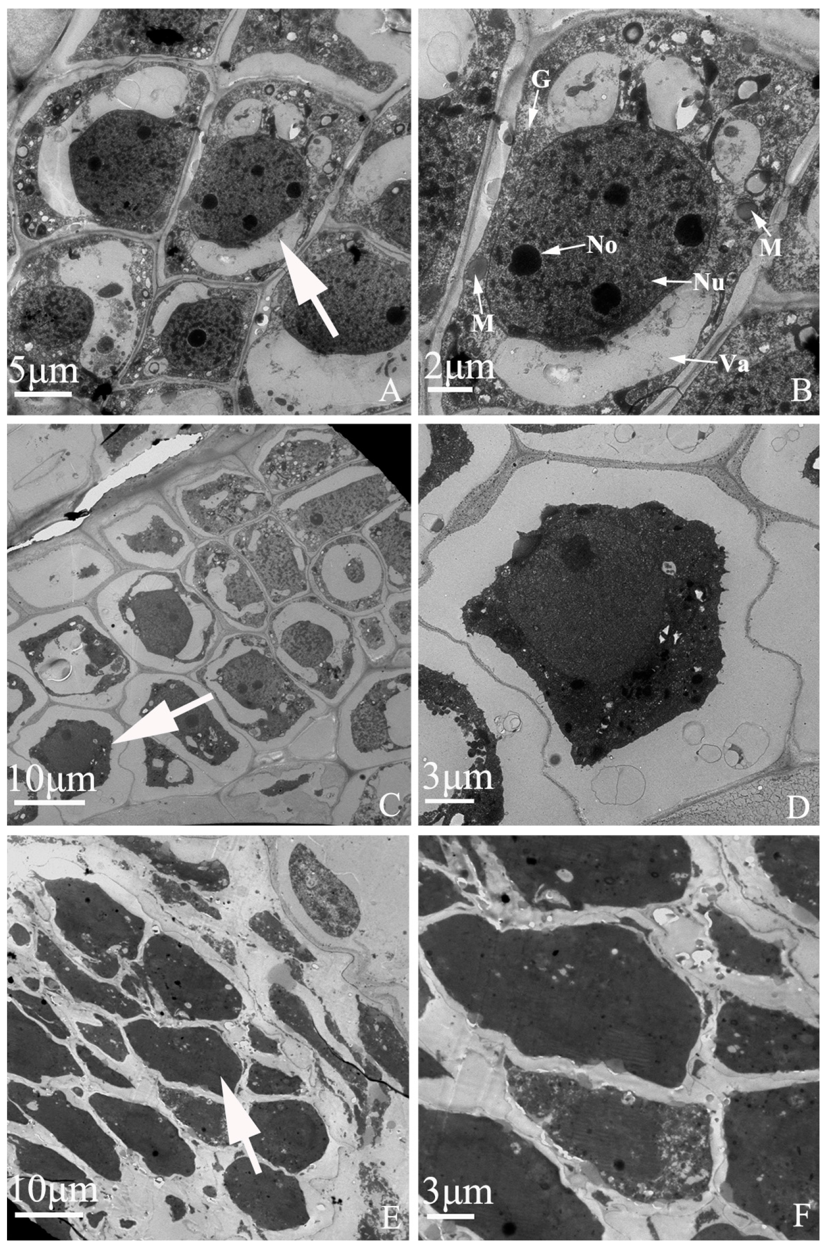 Ijms 19 00832 g007