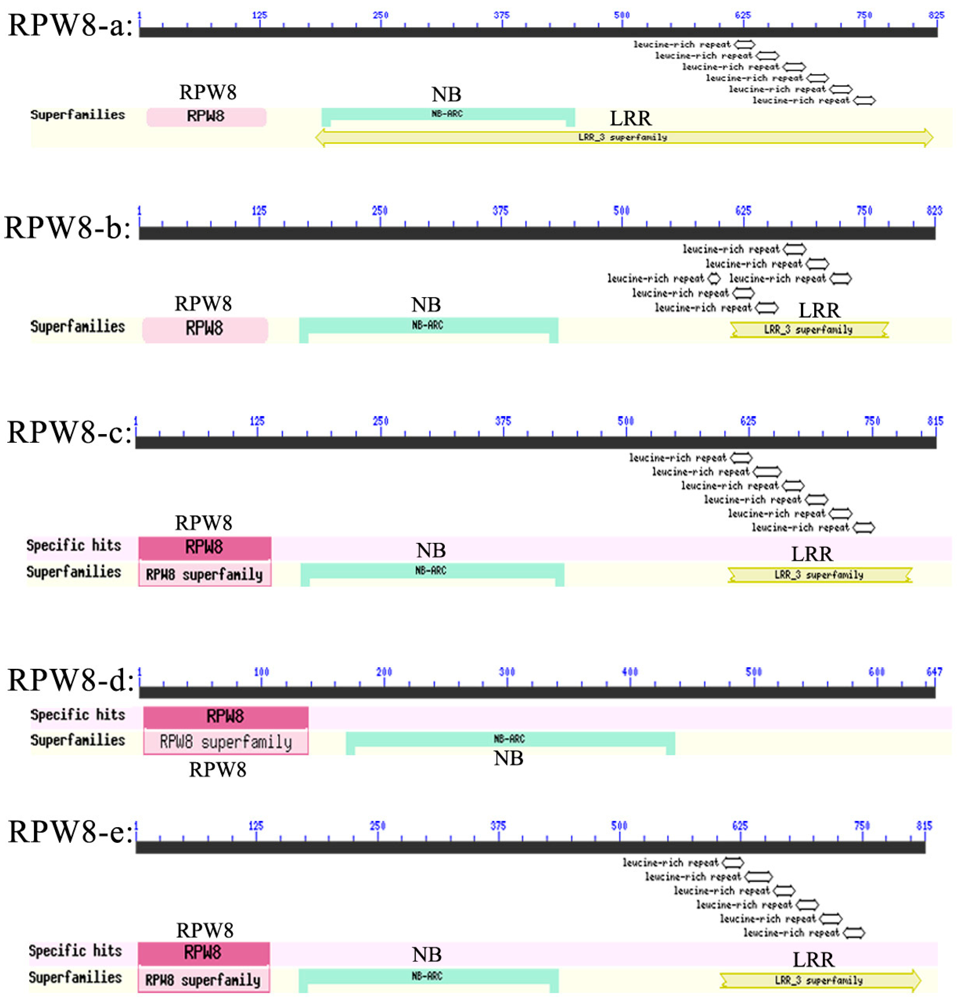 Ijms 19 00839 g002 Ijms 19 00839 g002