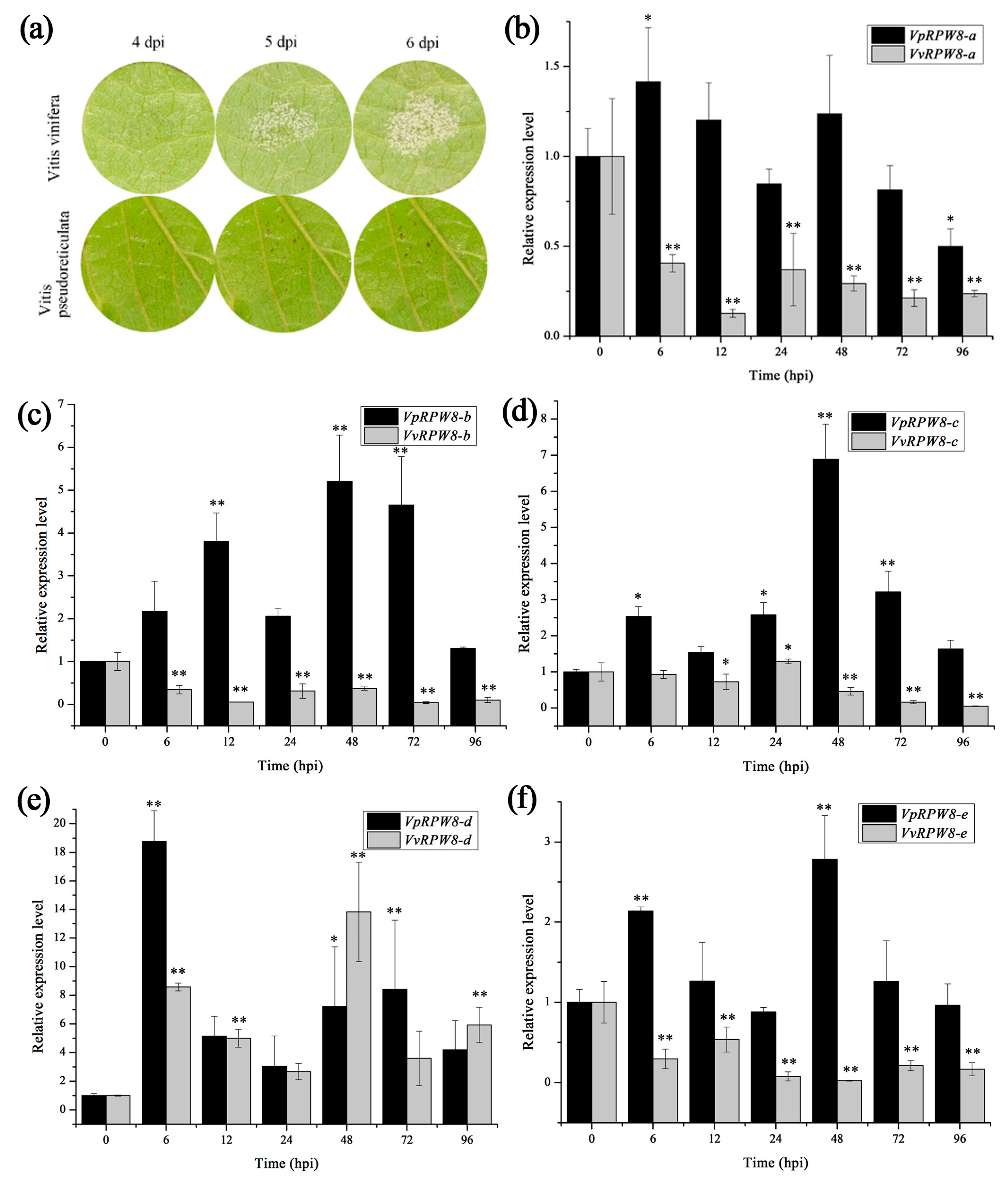 Ijms 19 00839 g003 Ijms 19 00839 g003