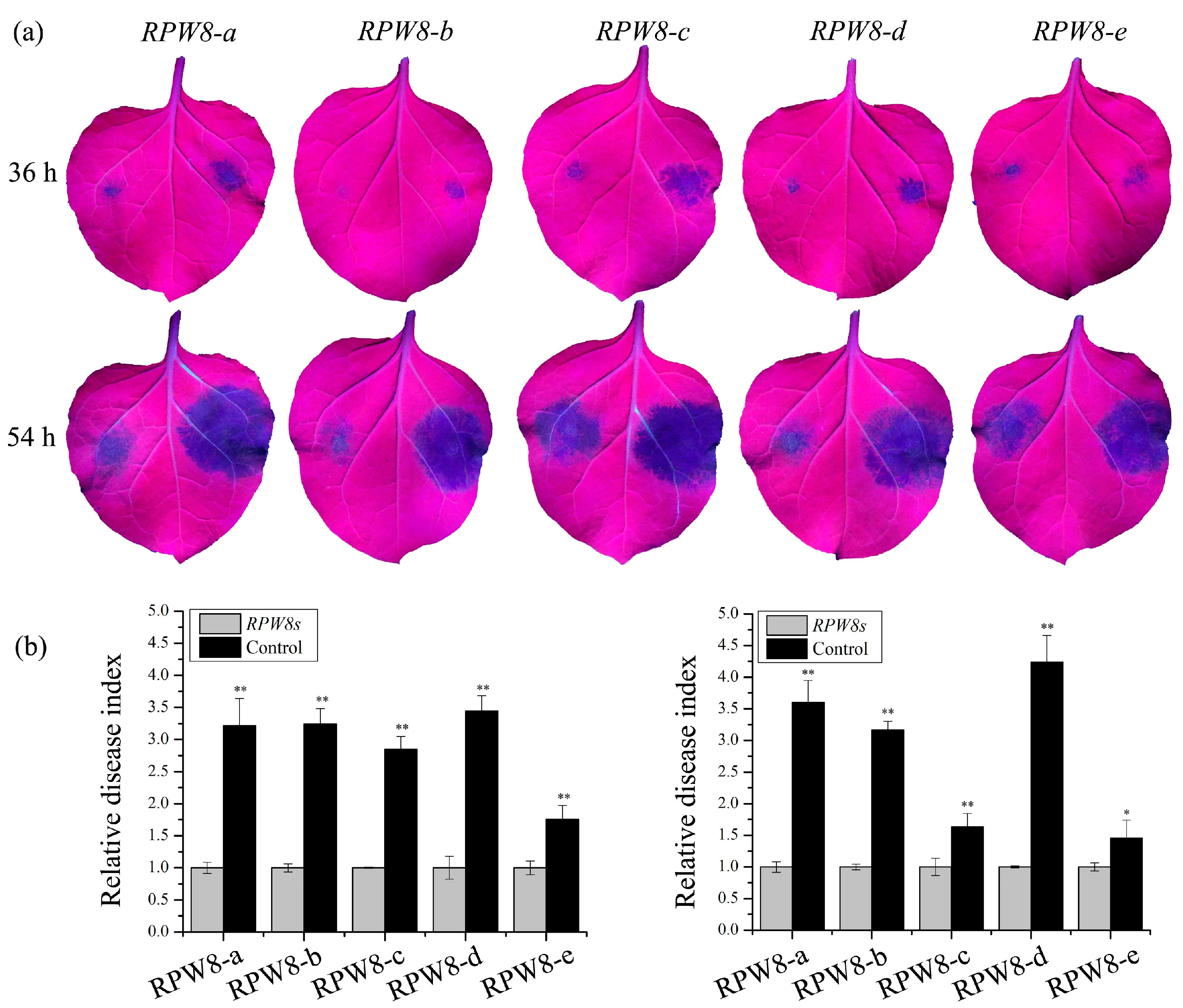 Ijms 19 00839 g004 Ijms 19 00839 g004