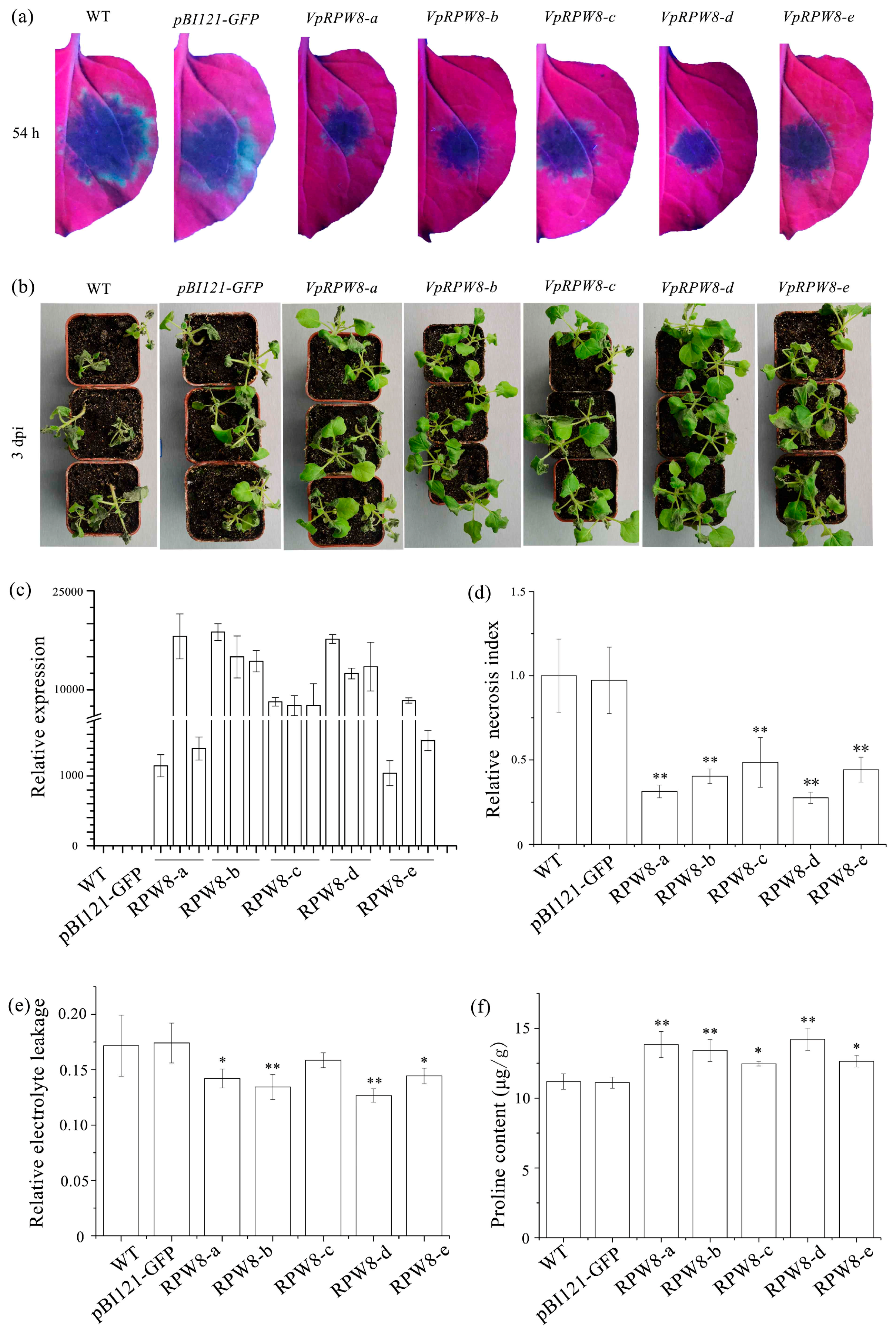 Ijms 19 00839 g005 Ijms 19 00839 g005