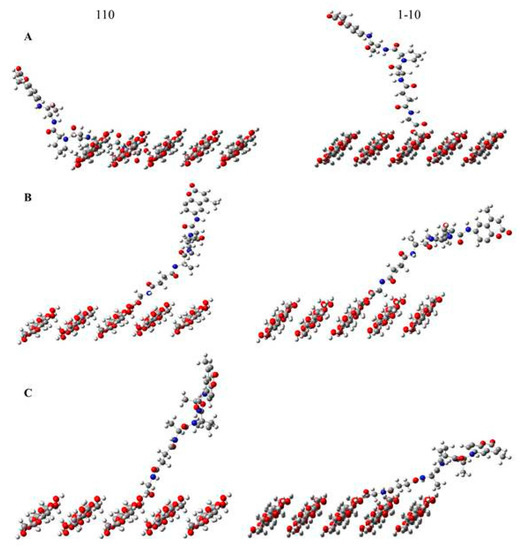 Synthesis biopolymer image