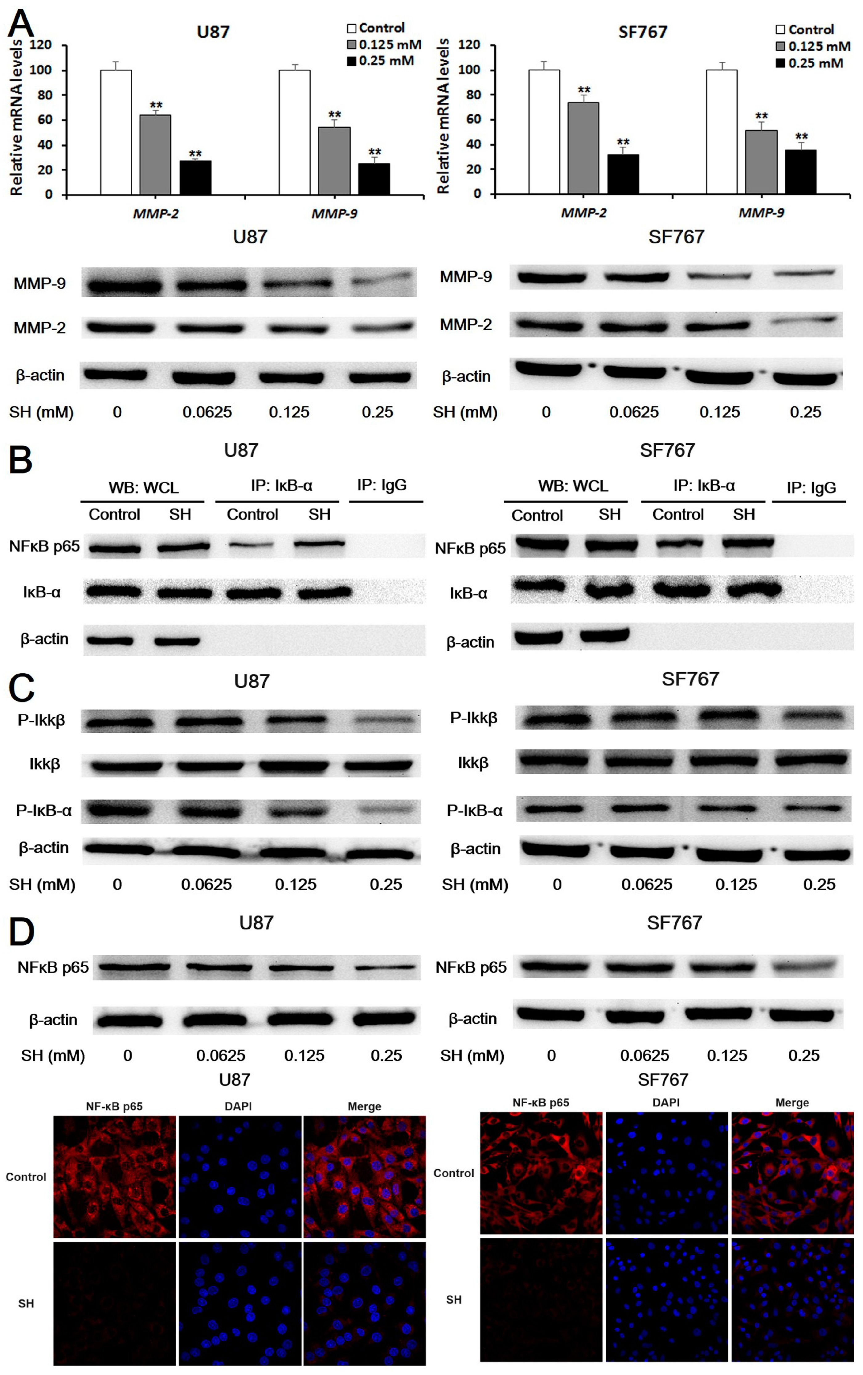 Ijms 19 00844 g003a