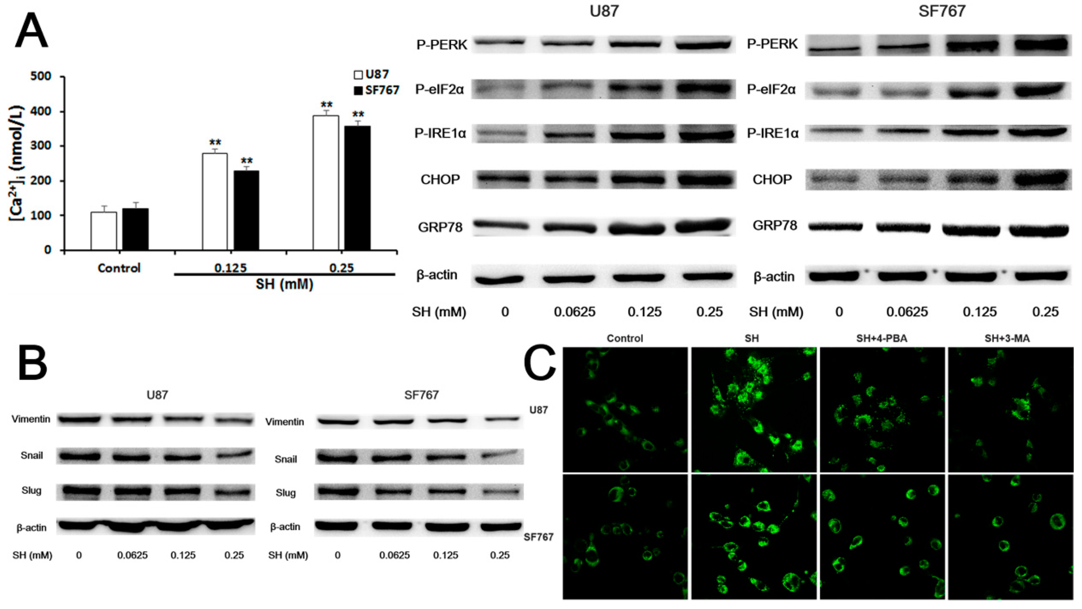 Ijms 19 00844 g004a