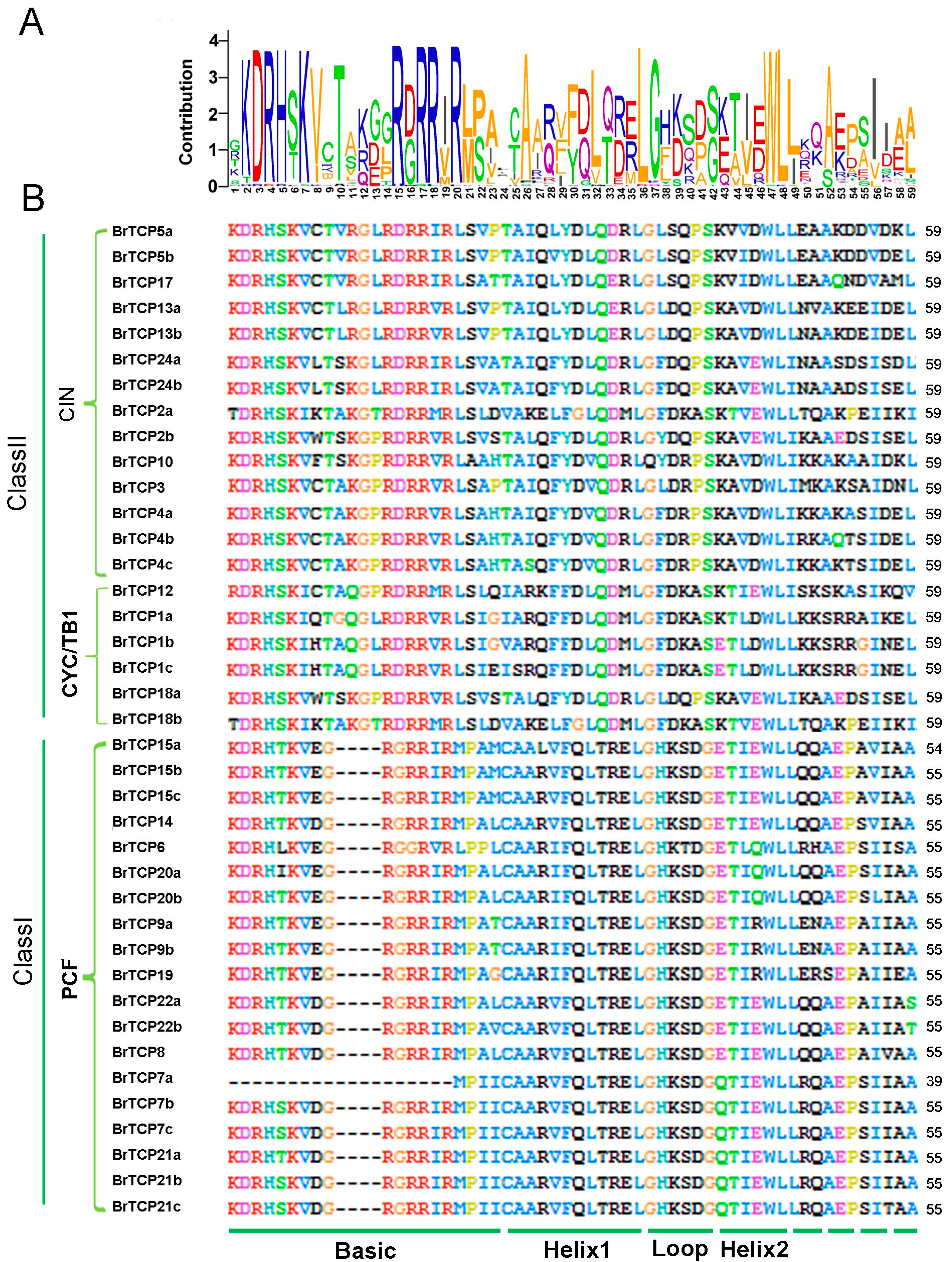 Ijms 19 00847 g004 550