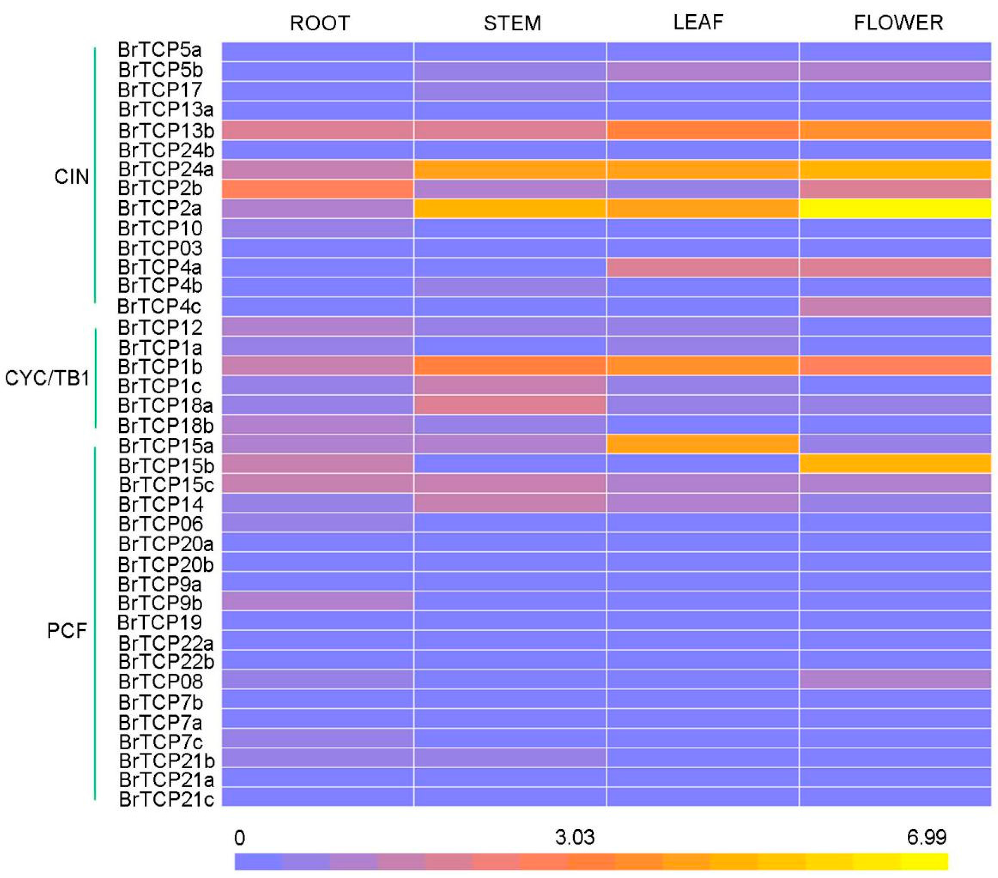 Ijms 19 00847 g005 550