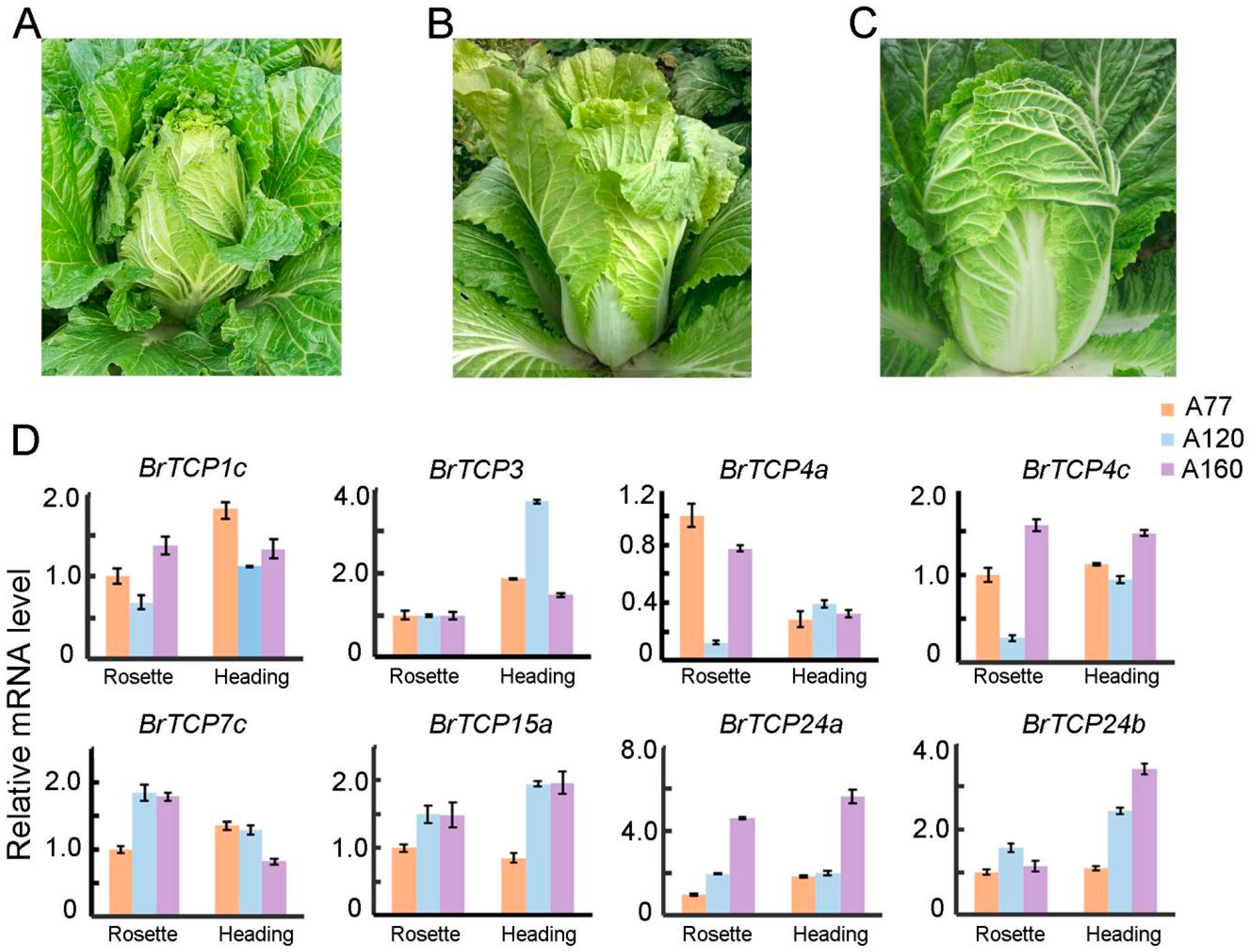 Ijms 19 00847 g007 550