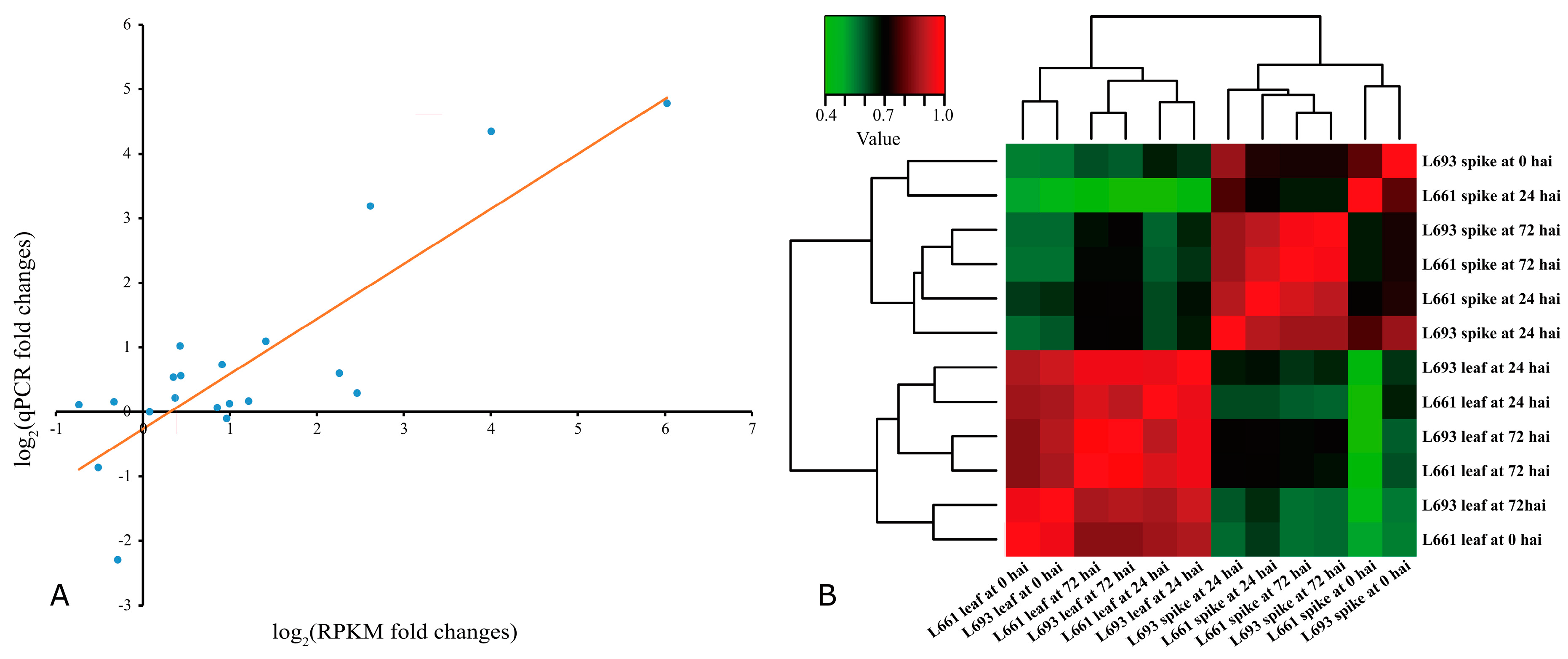 Ijms 19 00852 g003 Ijms 19 00852 g003