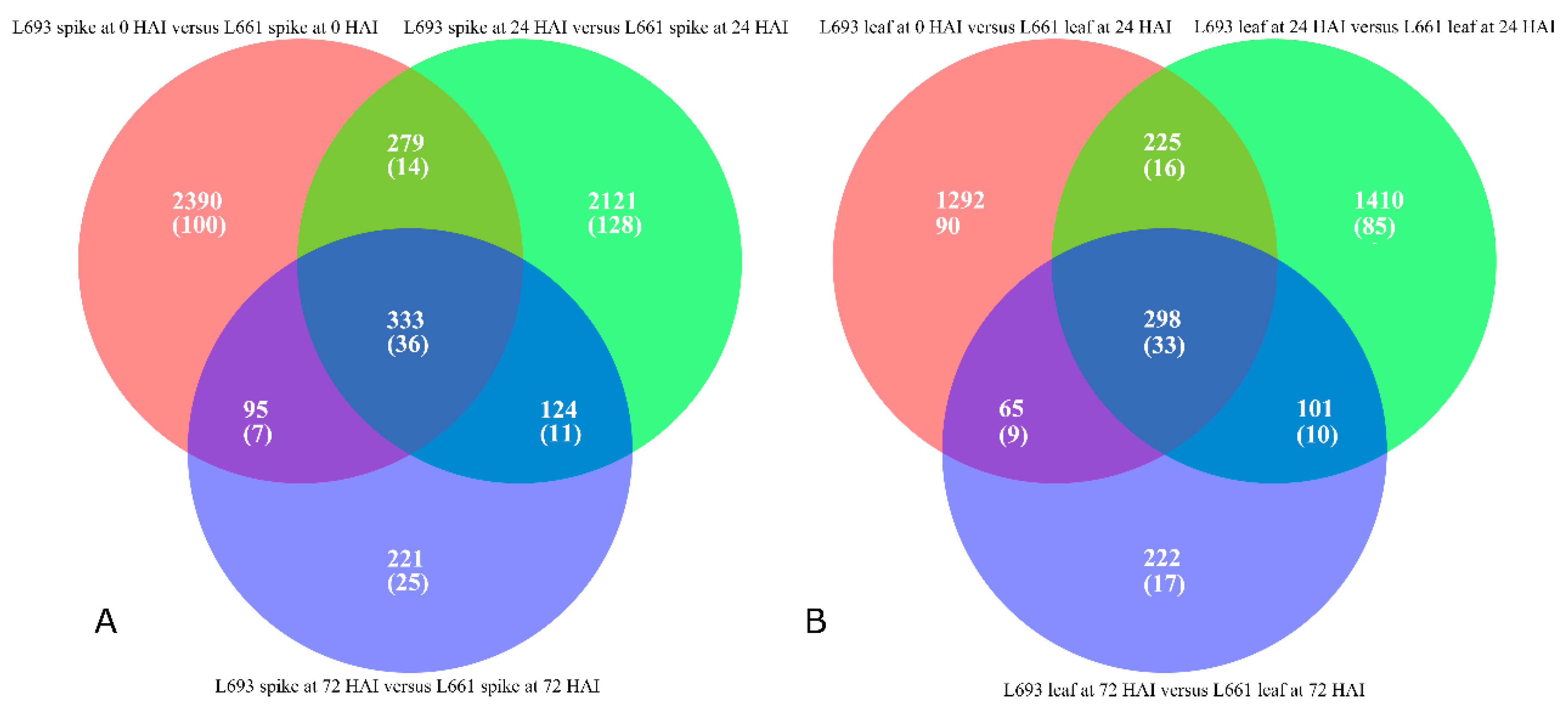 Ijms 19 00852 g005 Ijms 19 00852 g005