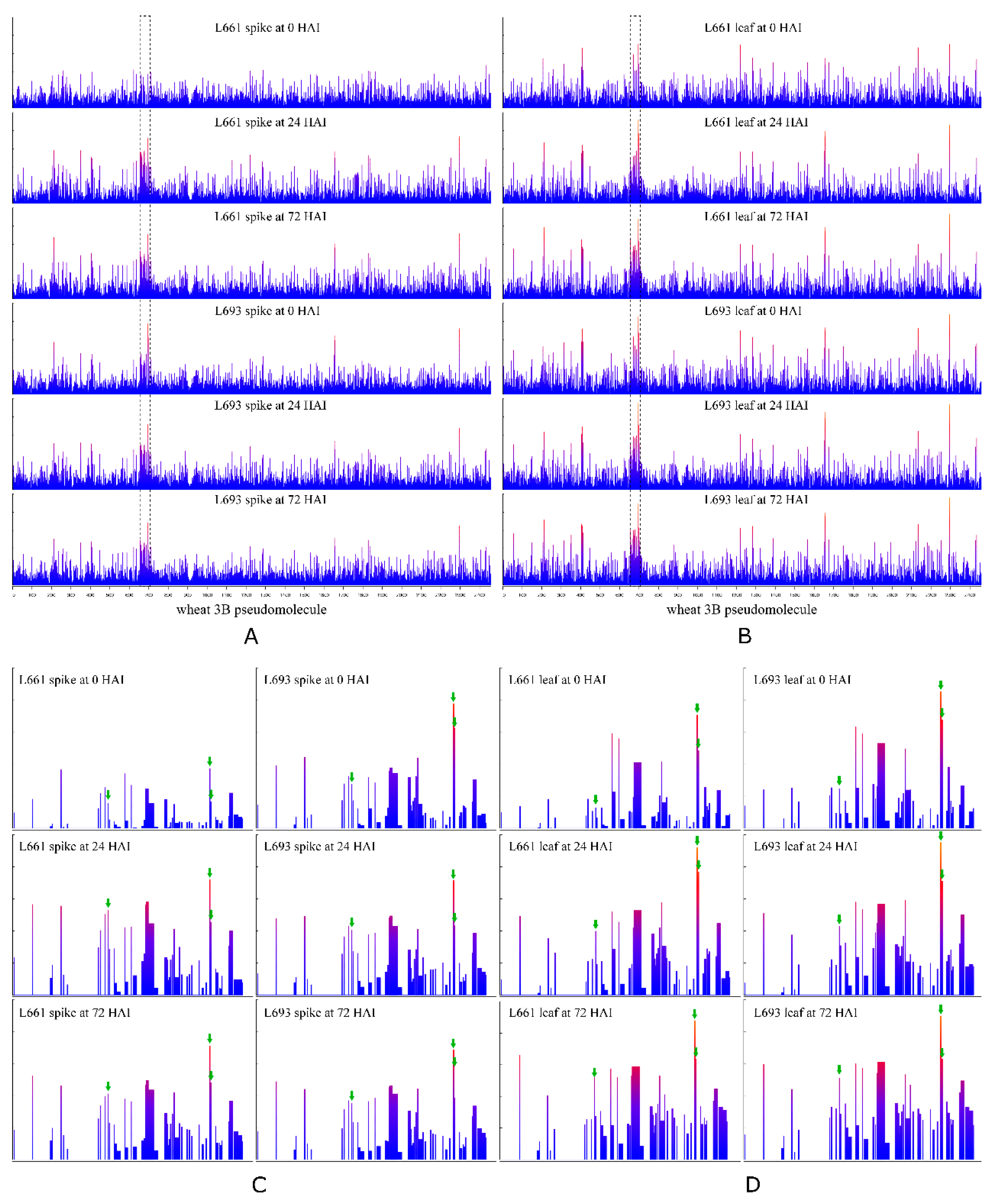 Ijms 19 00852 g007 Ijms 19 00852 g007