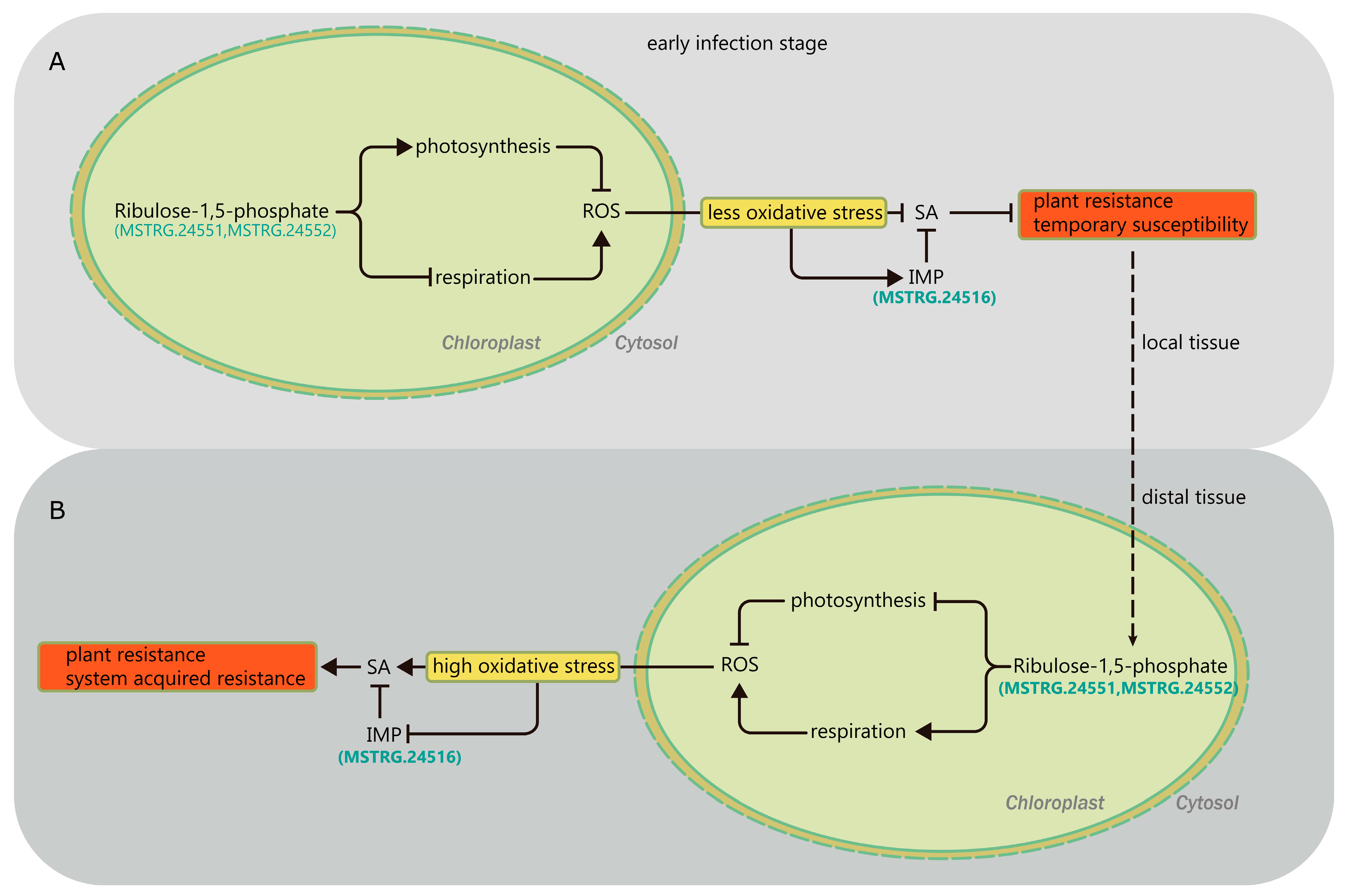 Ijms 19 00852 g008 Ijms 19 00852 g008