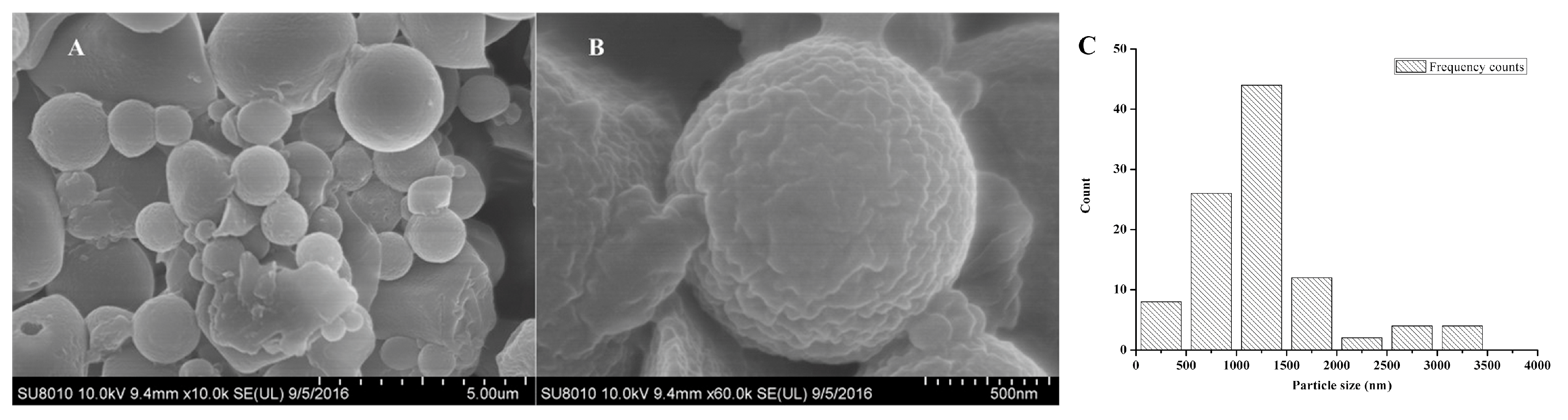 Ijms 19 00854 g005 Ijms 19 00854 g005