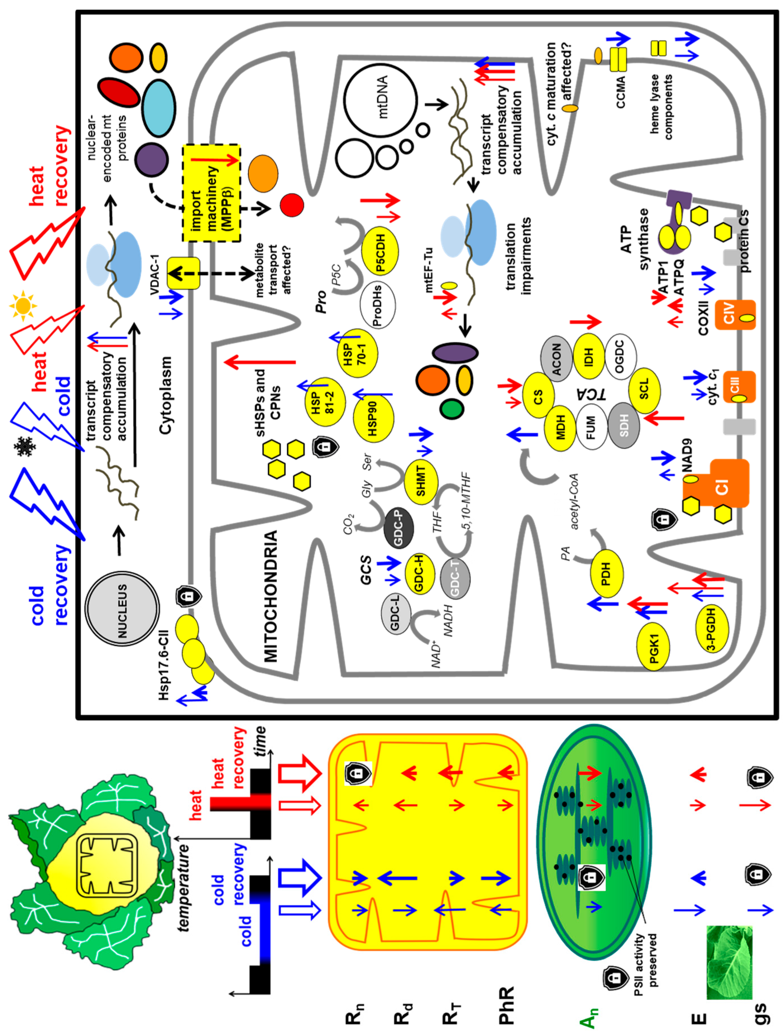 Ijms 19 00877 g008 Ijms 19 00877 g008