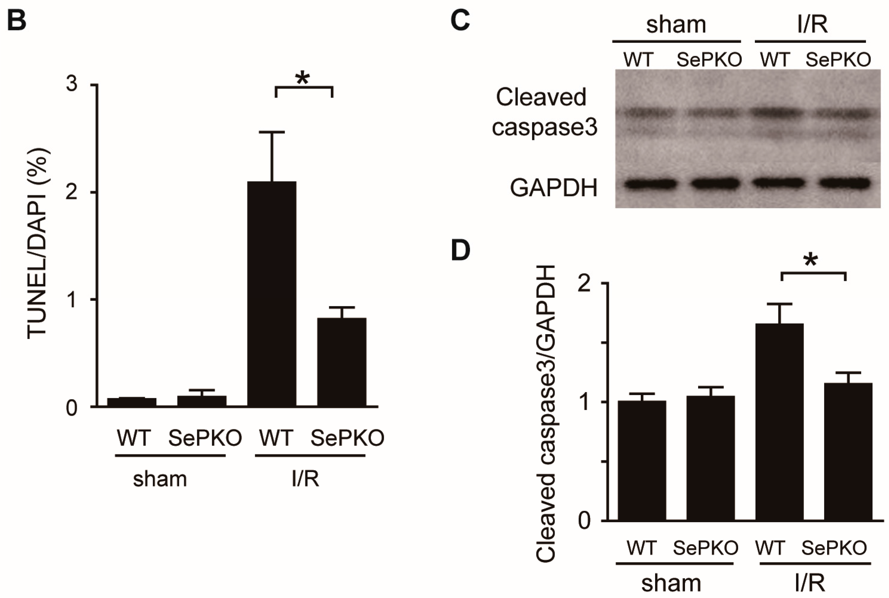 Ijms 19 00878 g002b 550