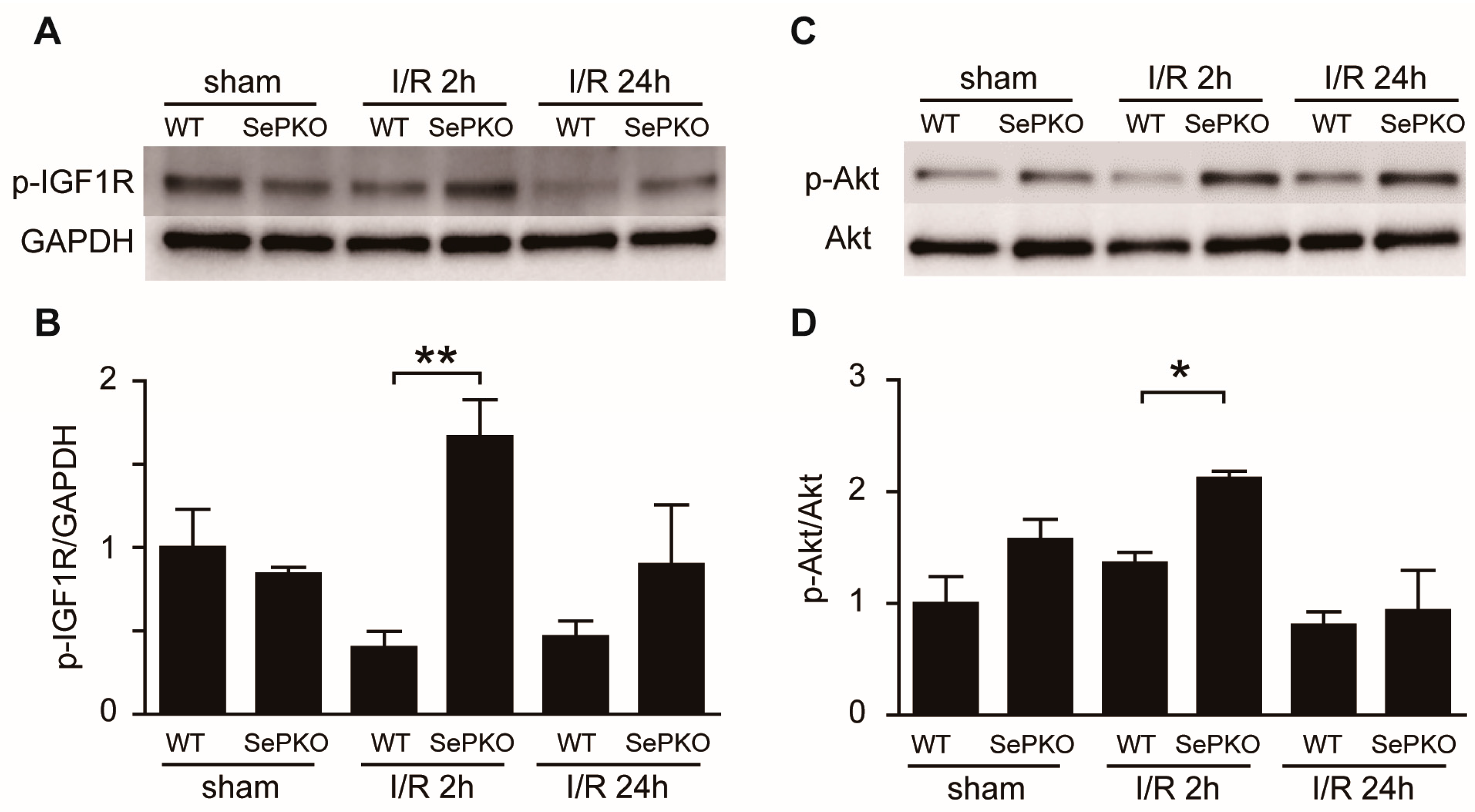 Ijms 19 00878 g003a 550