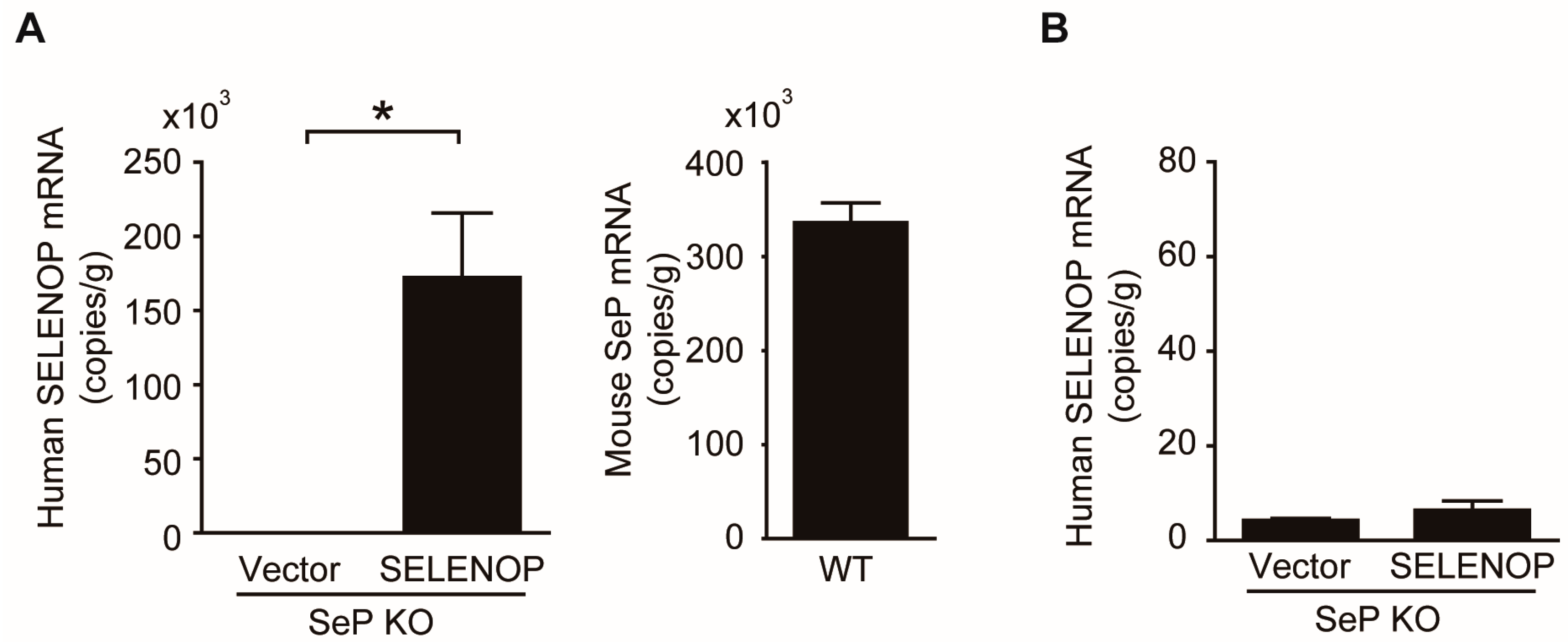 Ijms 19 00878 g004a 550