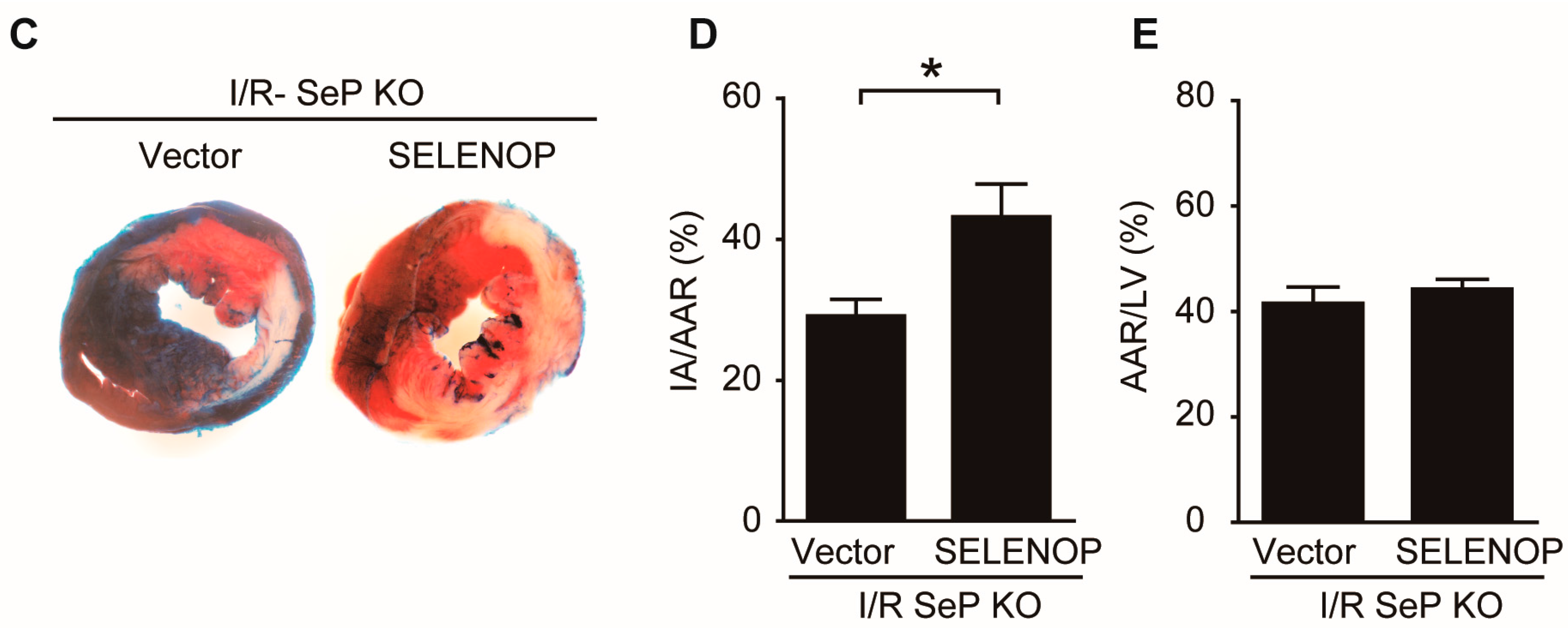 Ijms 19 00878 g004b 550