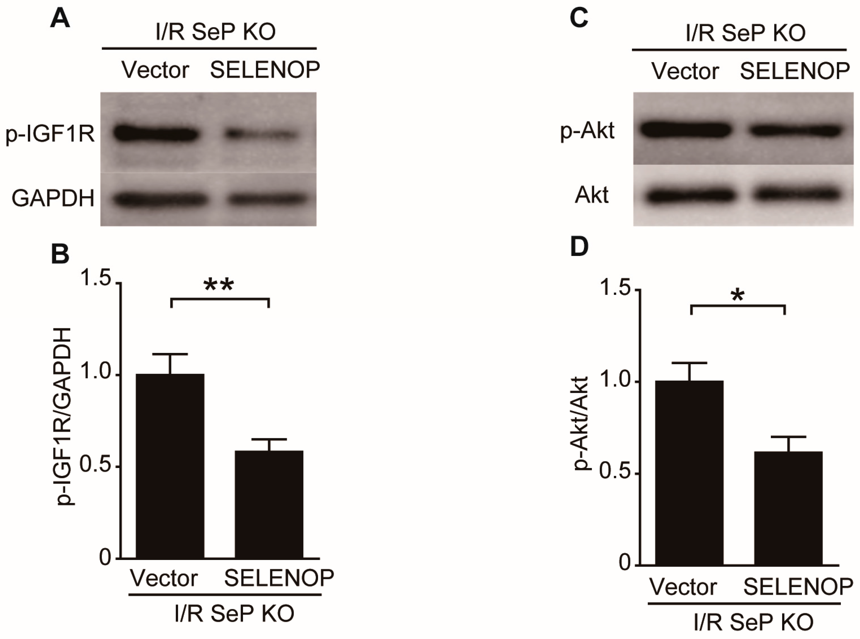Ijms 19 00878 g005a 550
