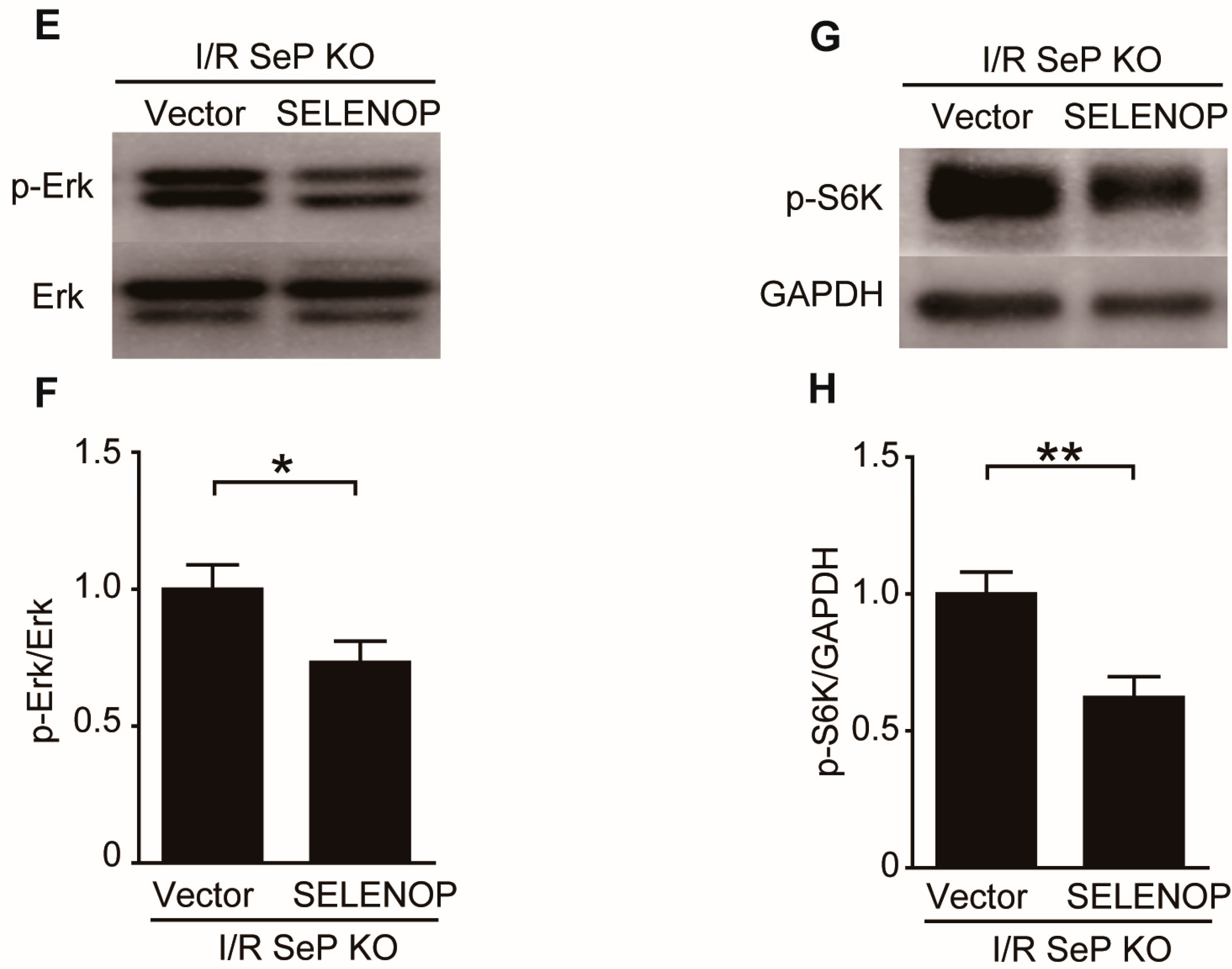 Ijms 19 00878 g005b 550