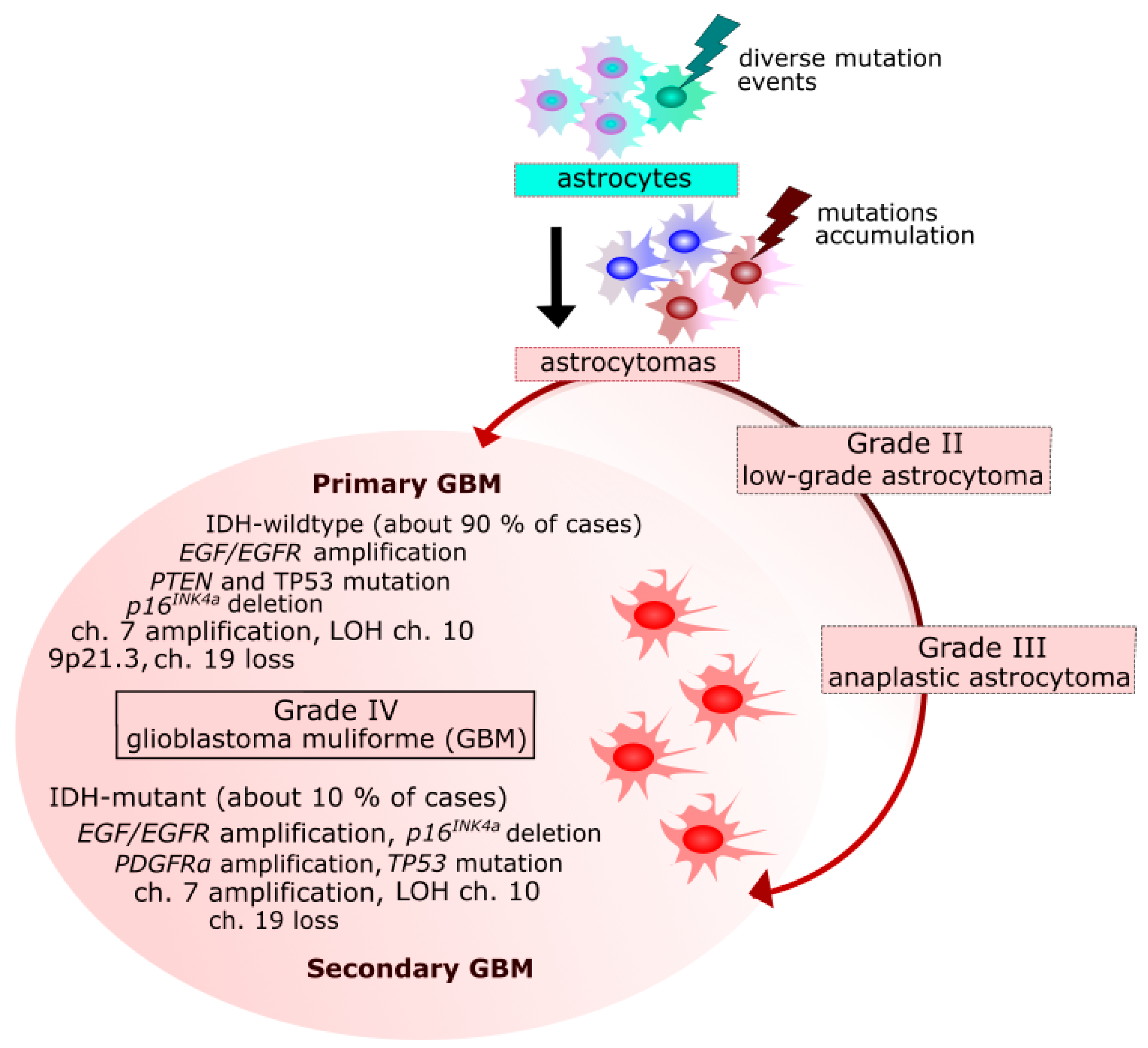 Ijms 19 00889 g001 Ijms 19 00889 g001