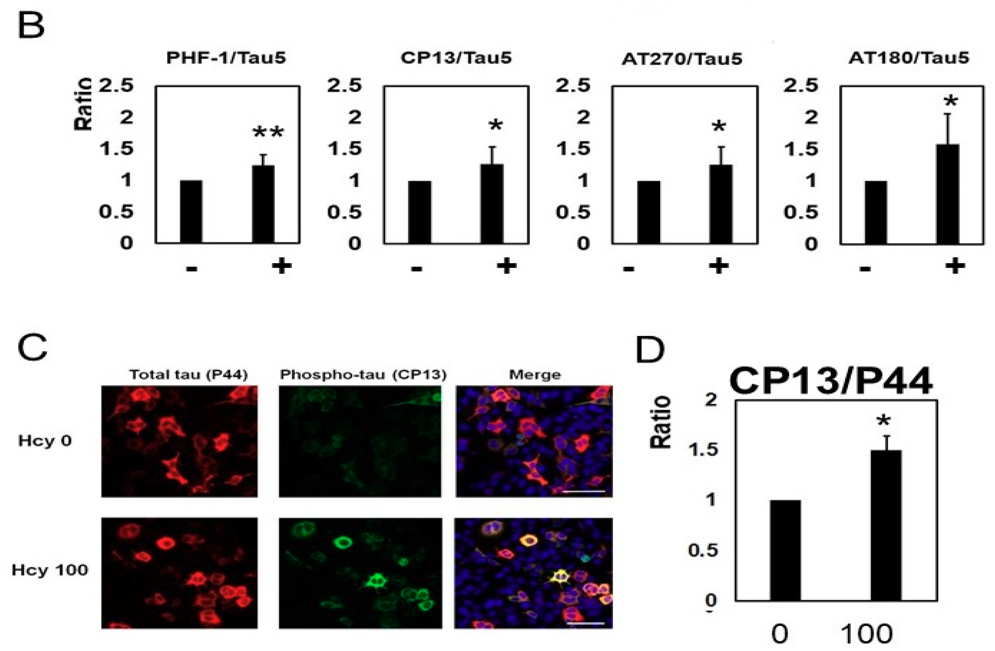 Ijms 19 00891 g003b Ijms 19 00891 g003b