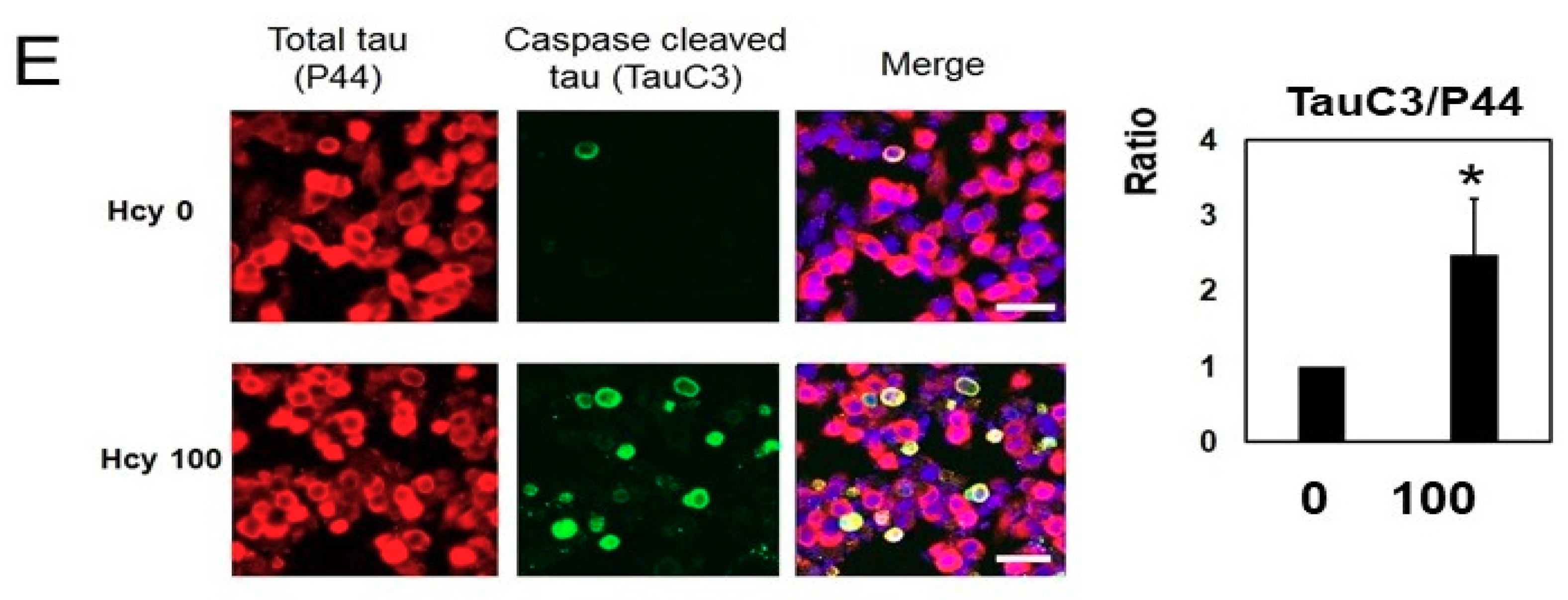 Ijms 19 00891 g005b Ijms 19 00891 g005b