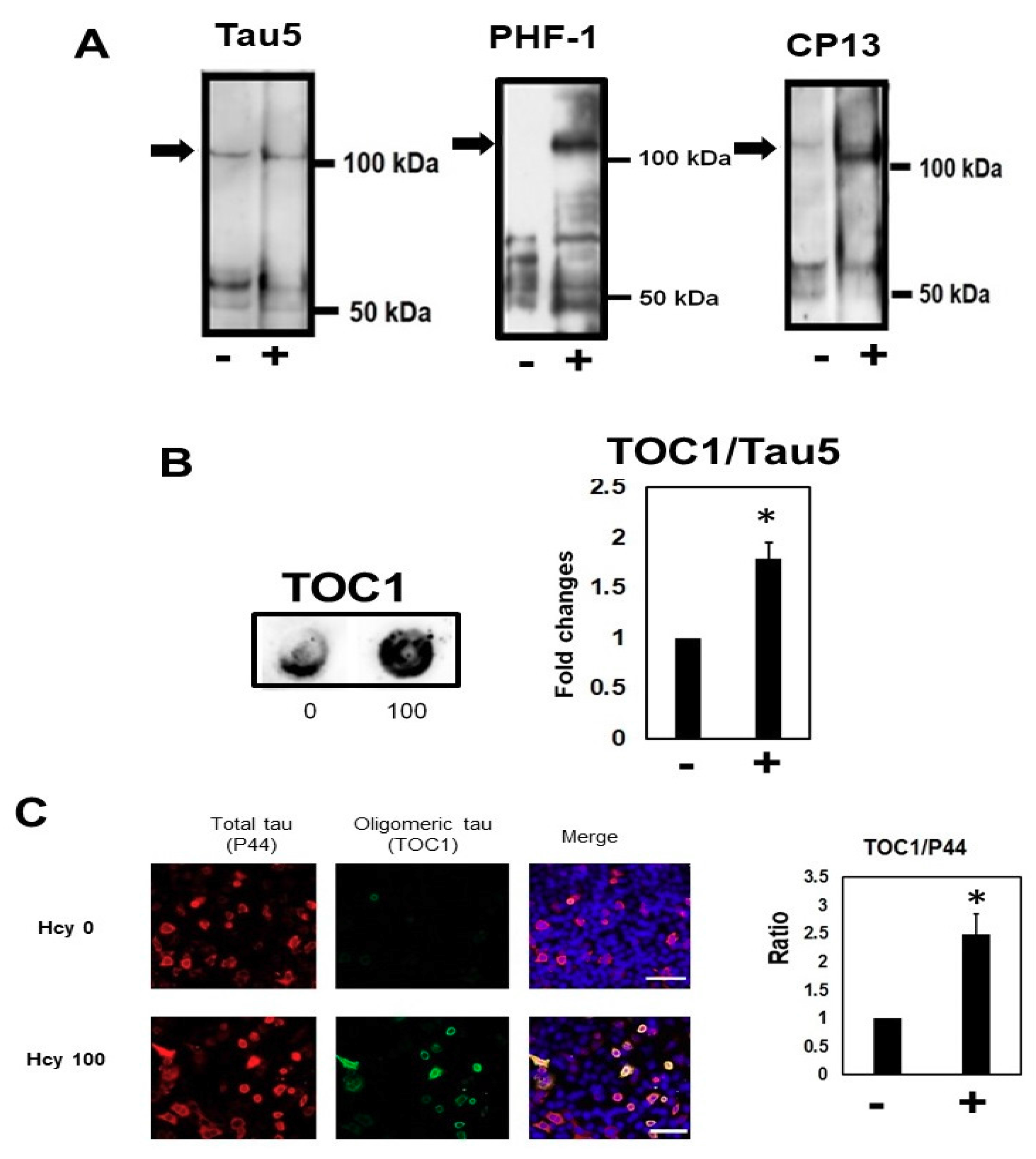 Ijms 19 00891 g008 Ijms 19 00891 g008