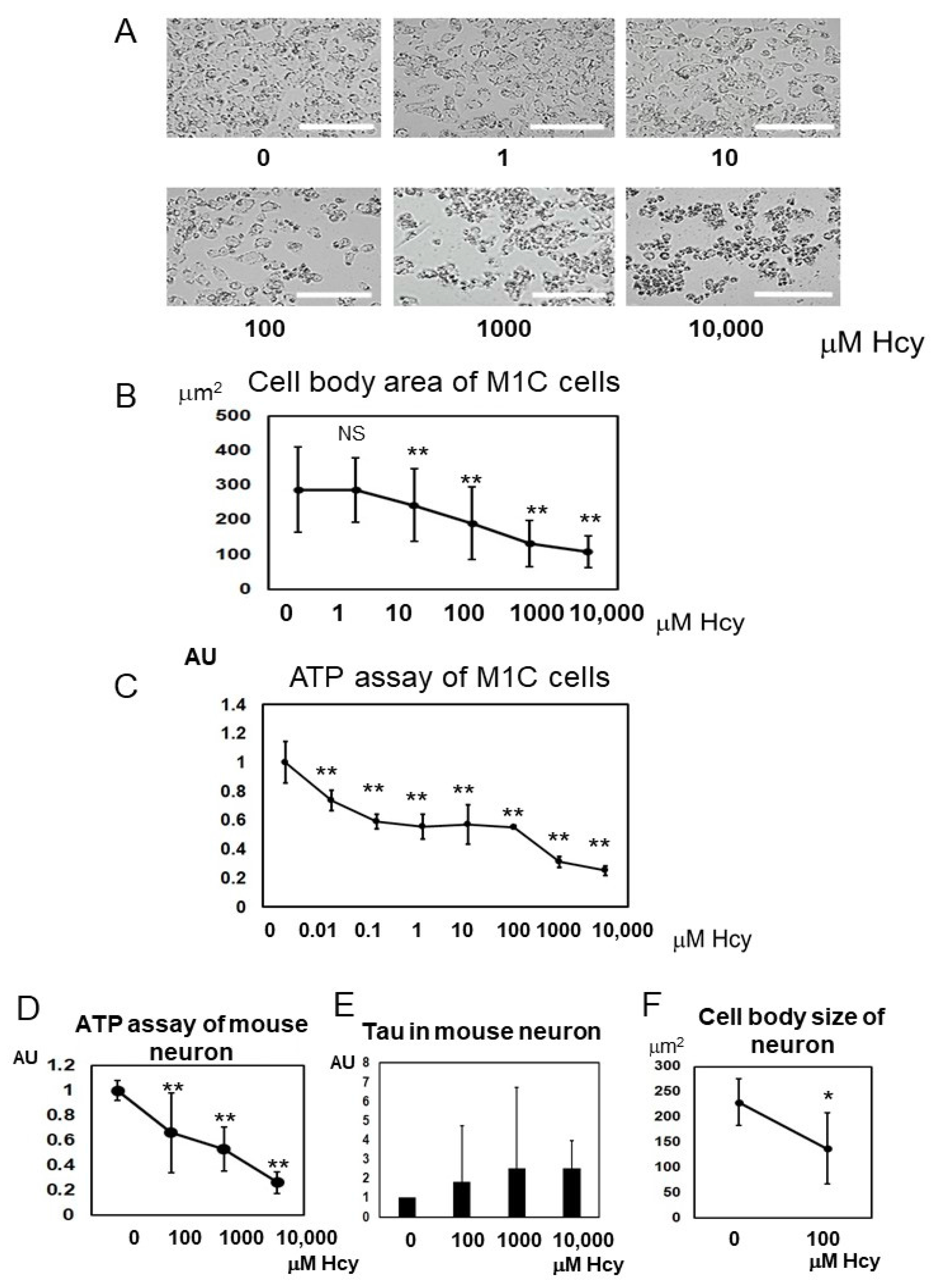 Ijms 19 00891 g009 Ijms 19 00891 g009