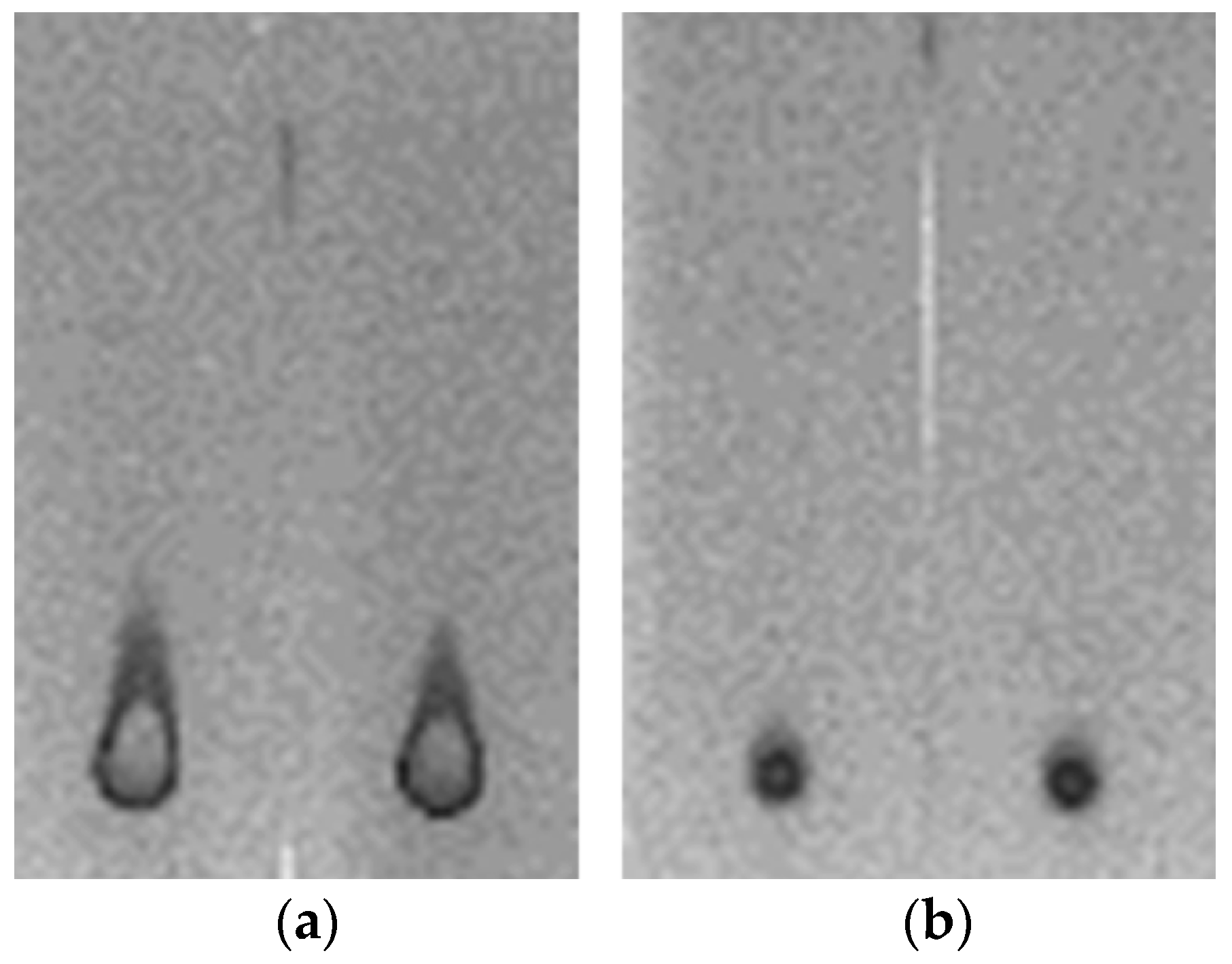 Ijms 19 00908 g002