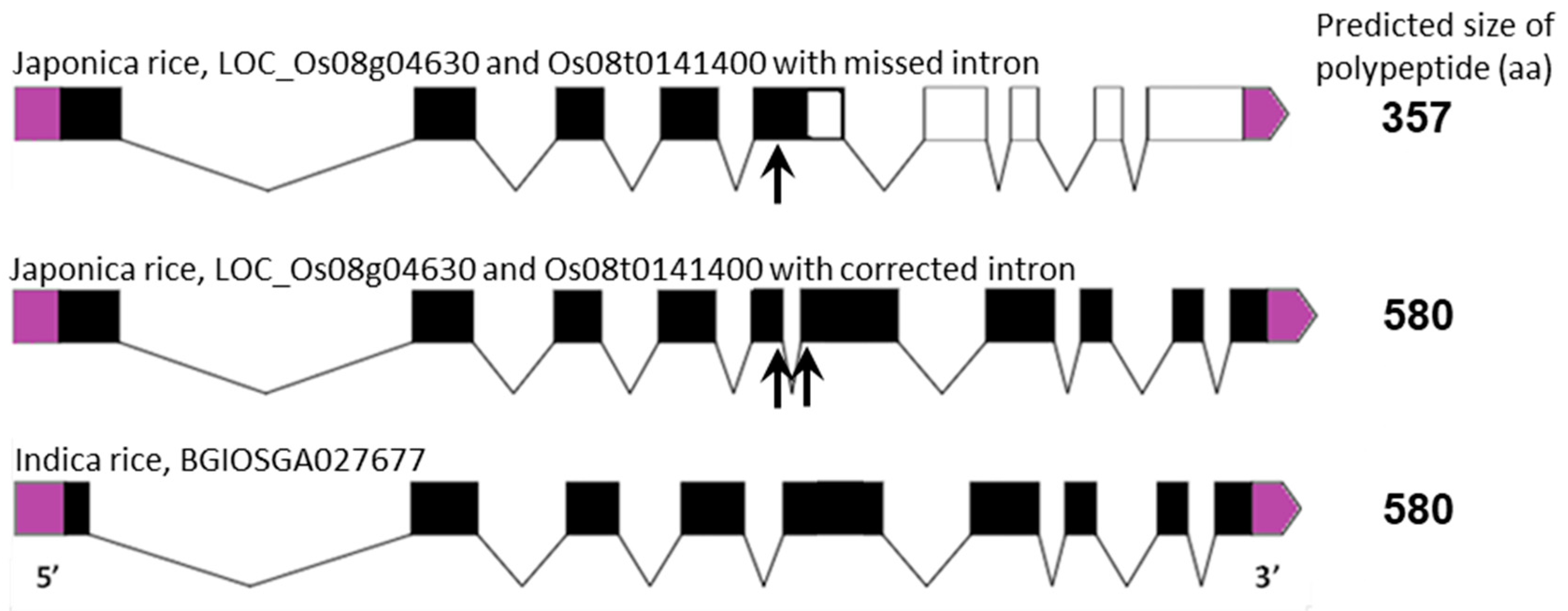 Ijms 19 00915 g002