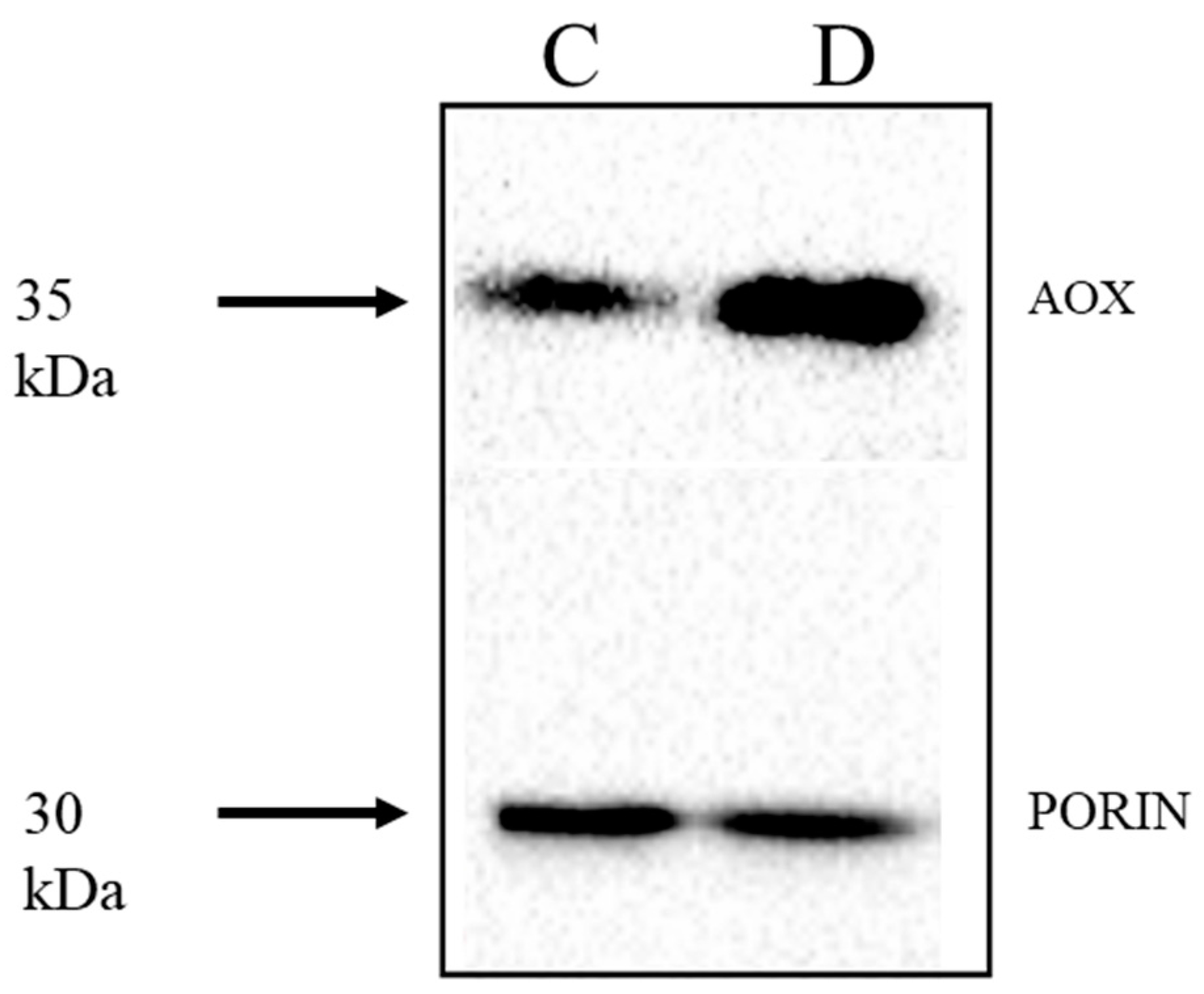 Ijms 19 00915 g010