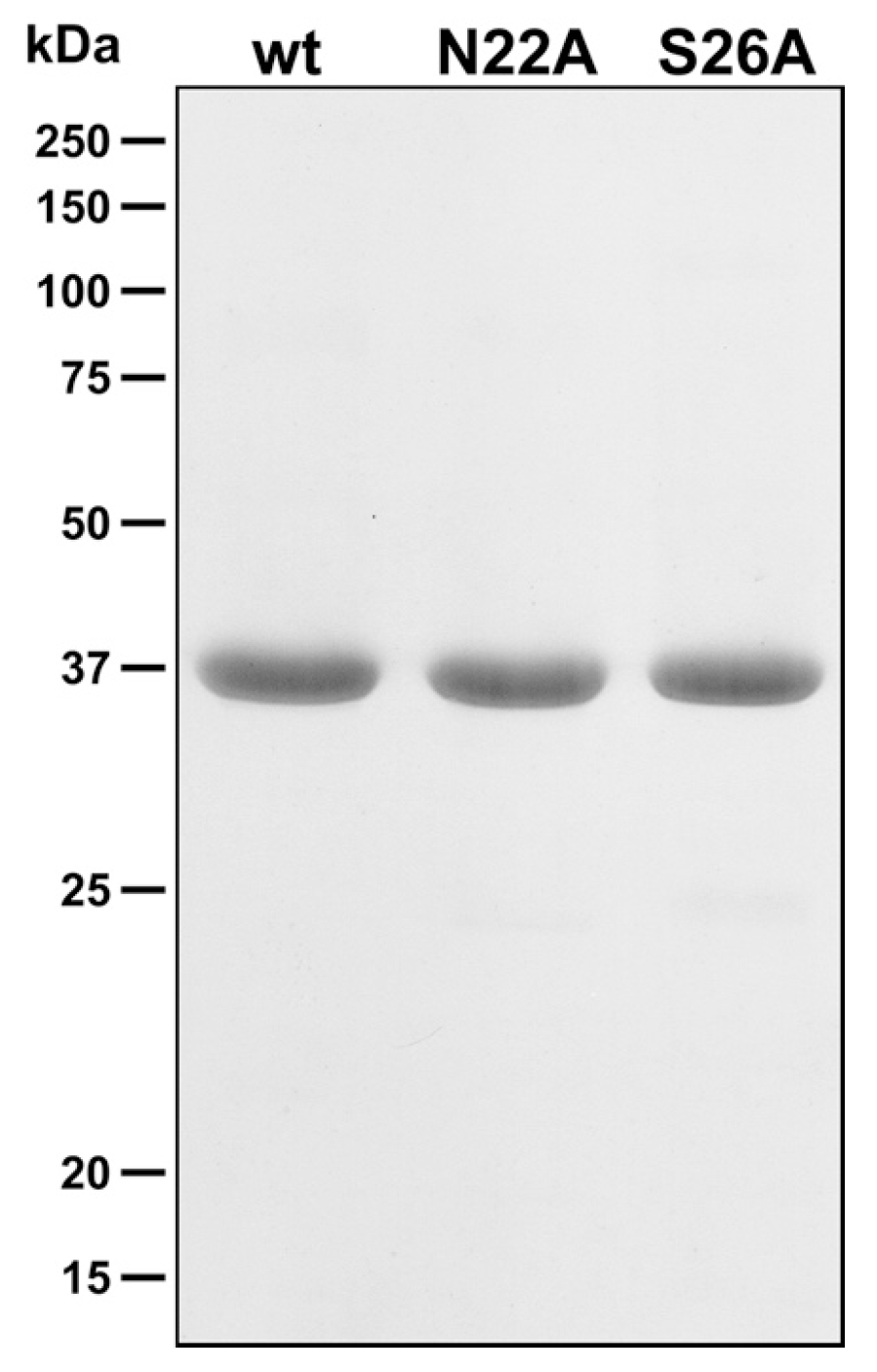 Ijms 19 00918 g003