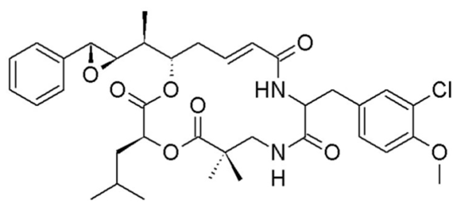 Ijms 19 00919 g005