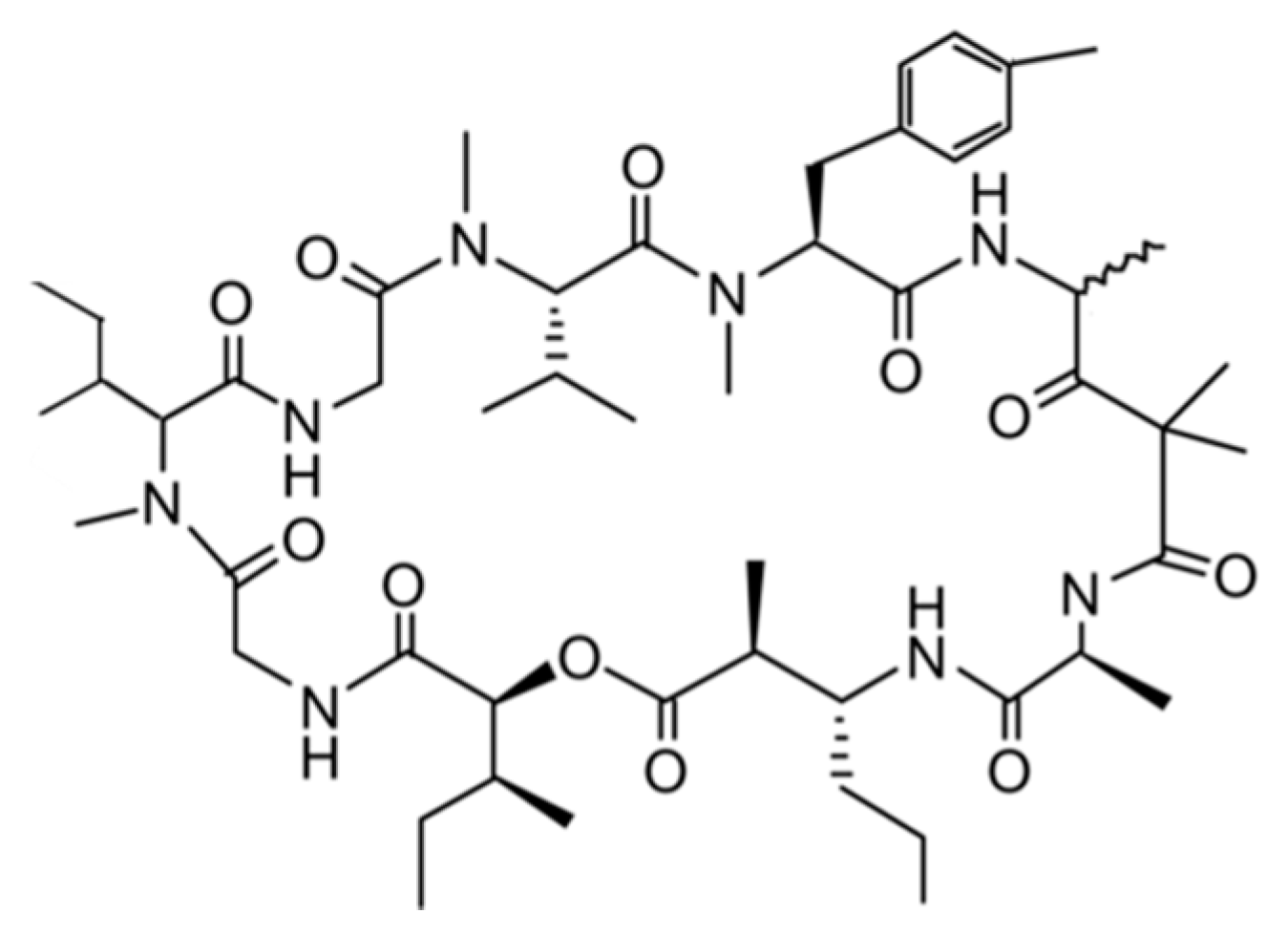Ijms 19 00919 g006