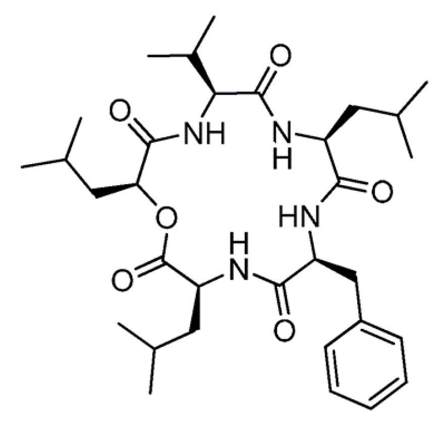 Ijms 19 00919 g021