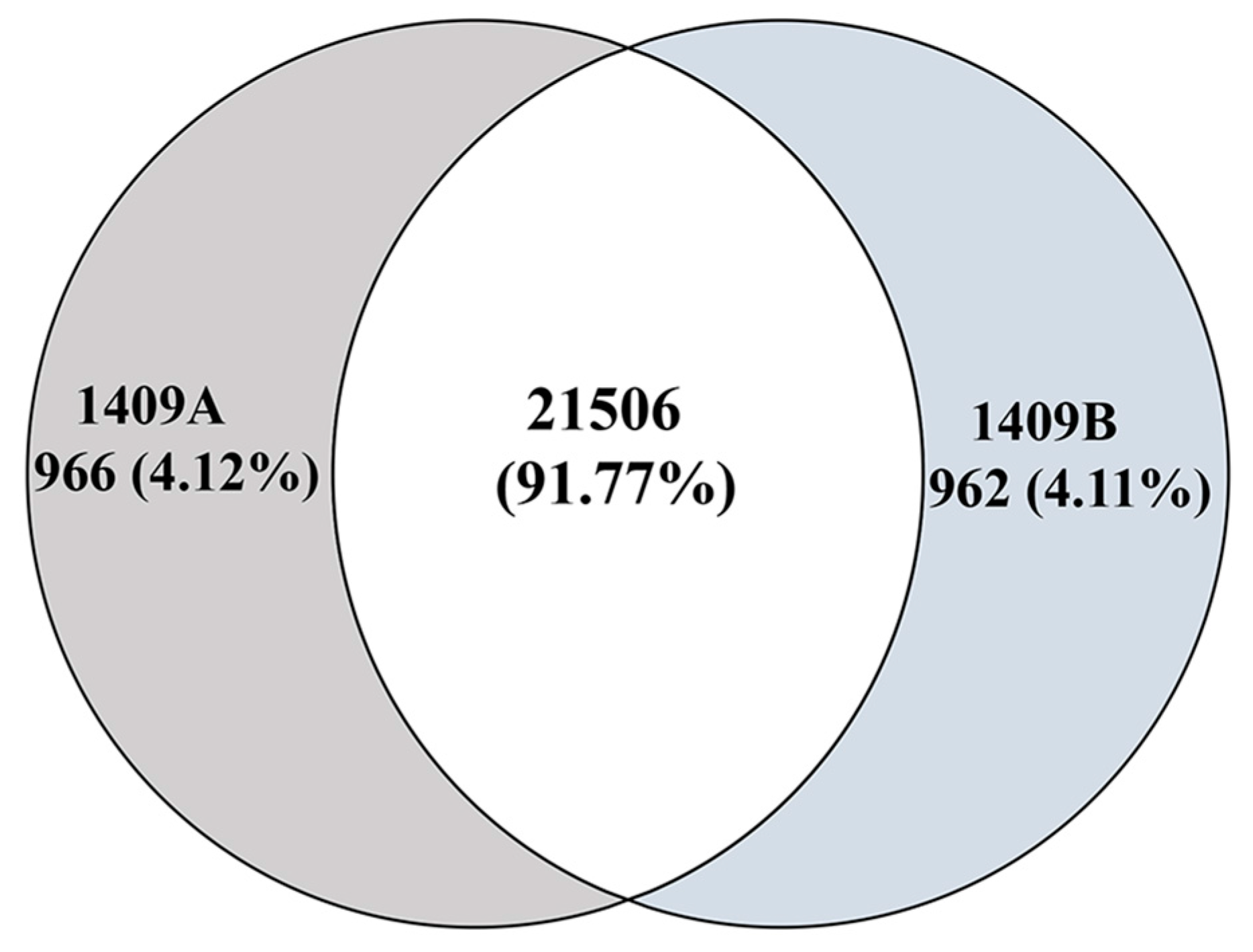 Ijms 19 00922 g005 Ijms 19 00922 g005