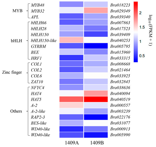 Transcriptome Analysis Reveals Candidate Genes Associated