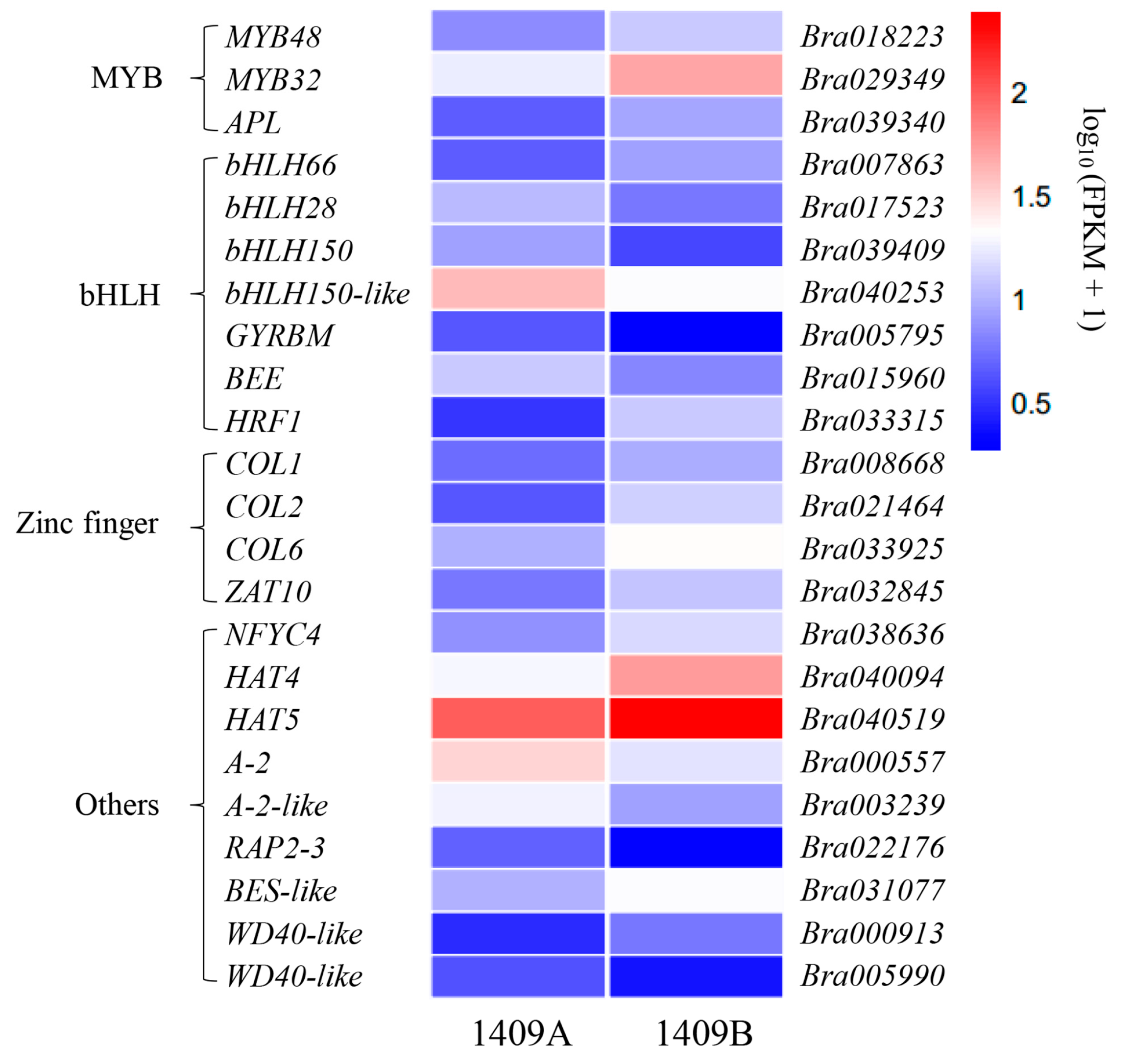 Ijms 19 00922 g008 Ijms 19 00922 g008