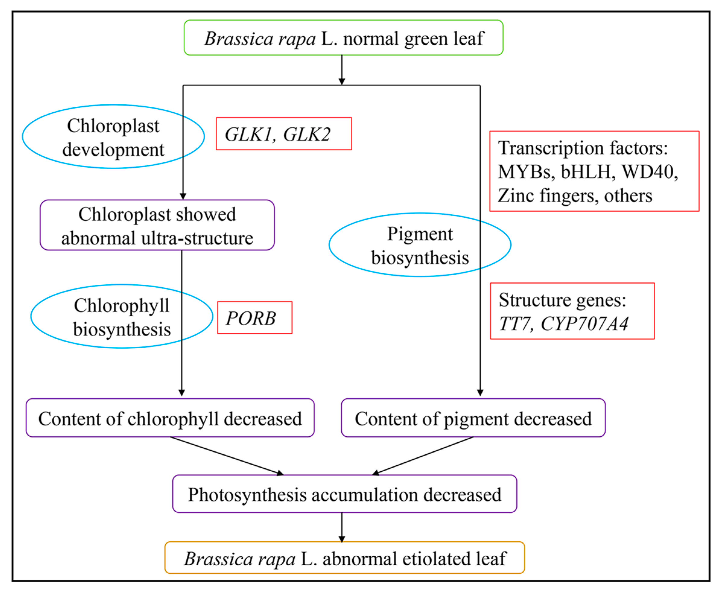 Ijms 19 00922 g009 Ijms 19 00922 g009