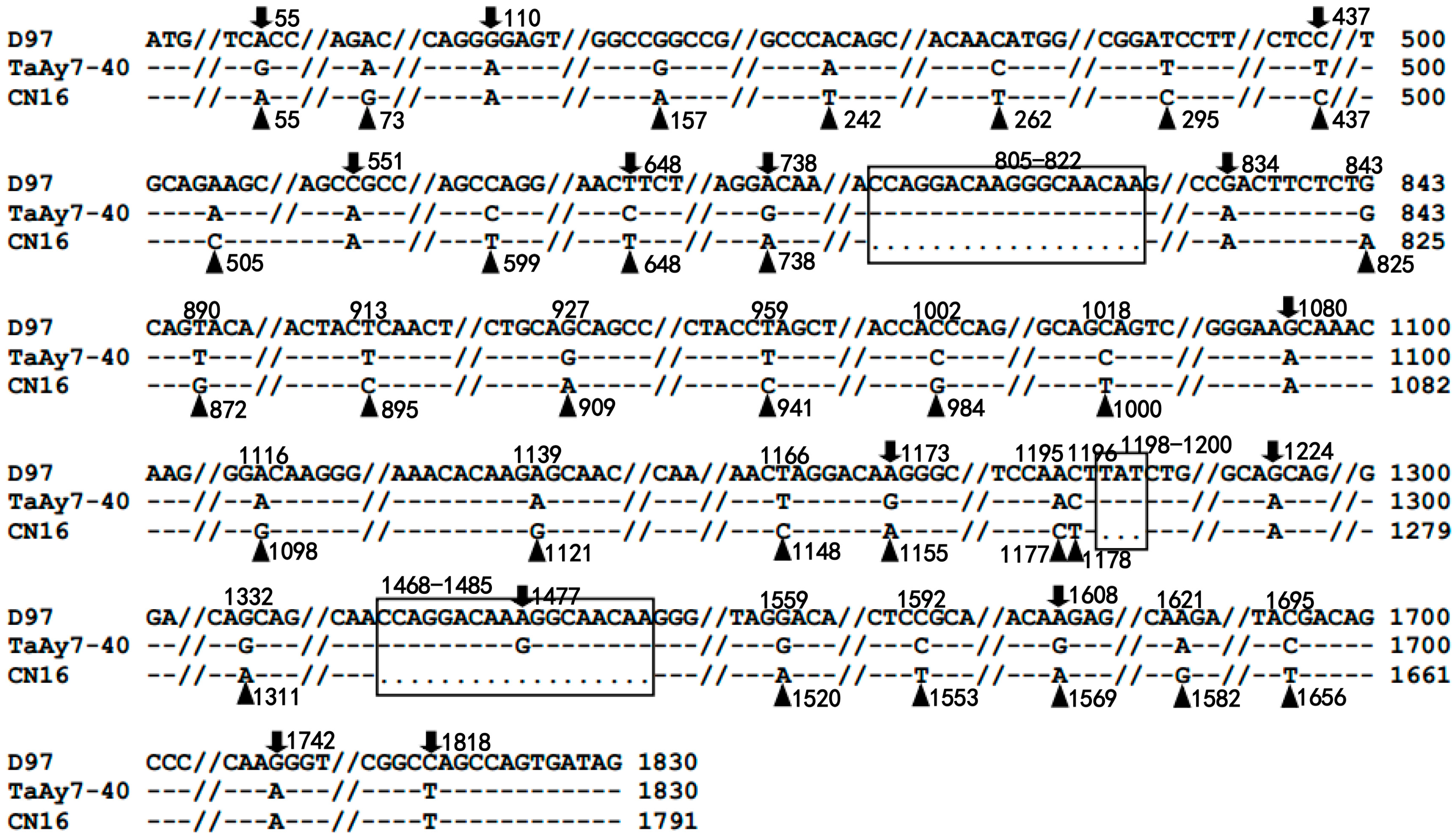 Ijms 19 00923 g004 550