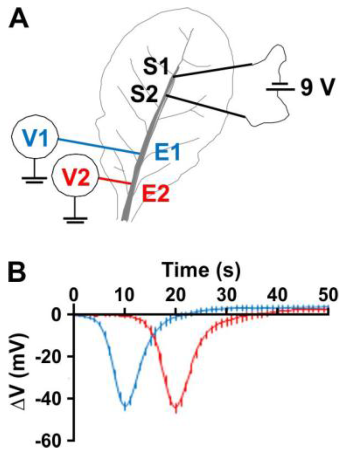 Ijms 19 00926 g001 Ijms 19 00926 g001