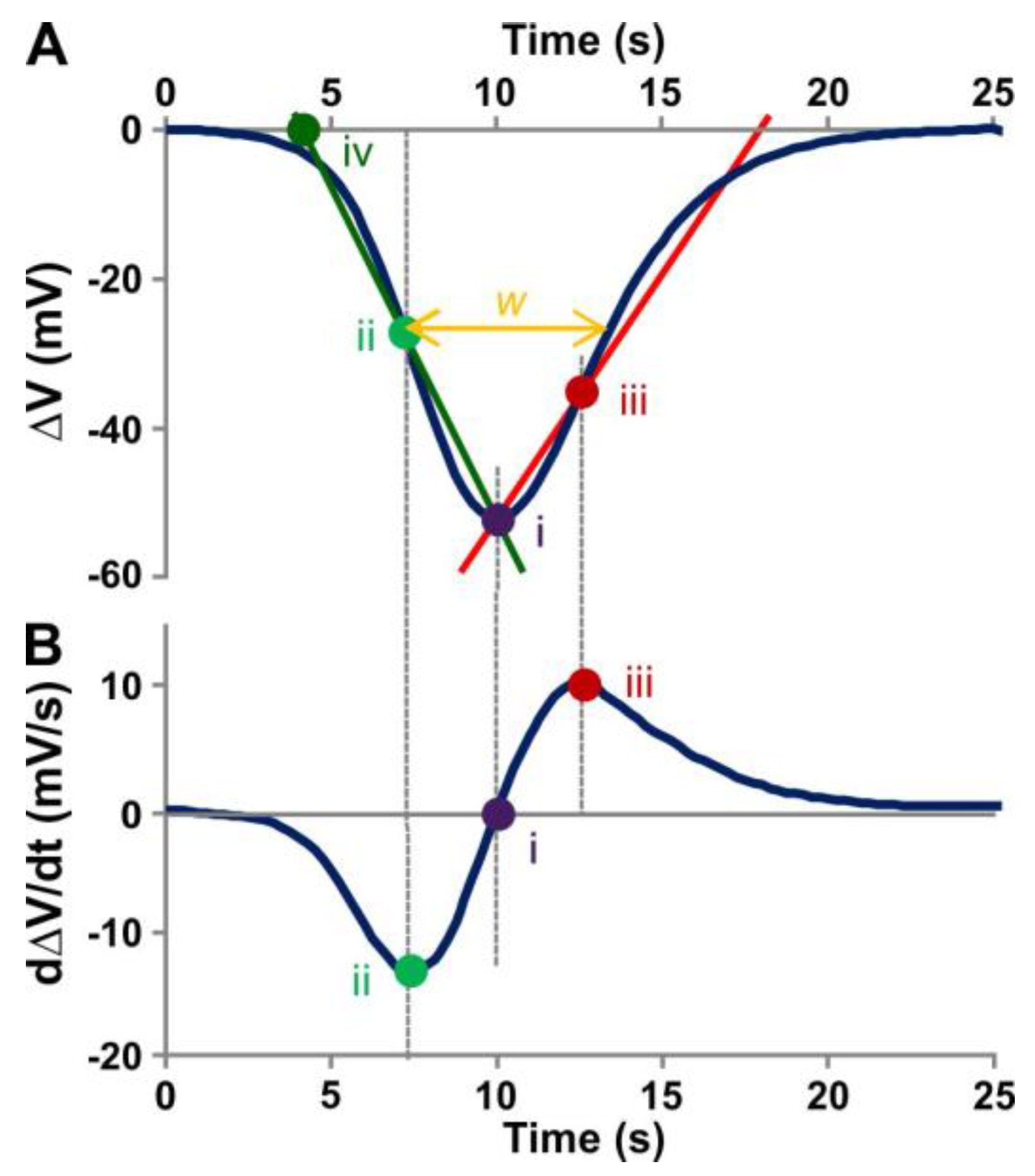 Ijms 19 00926 g002 Ijms 19 00926 g002