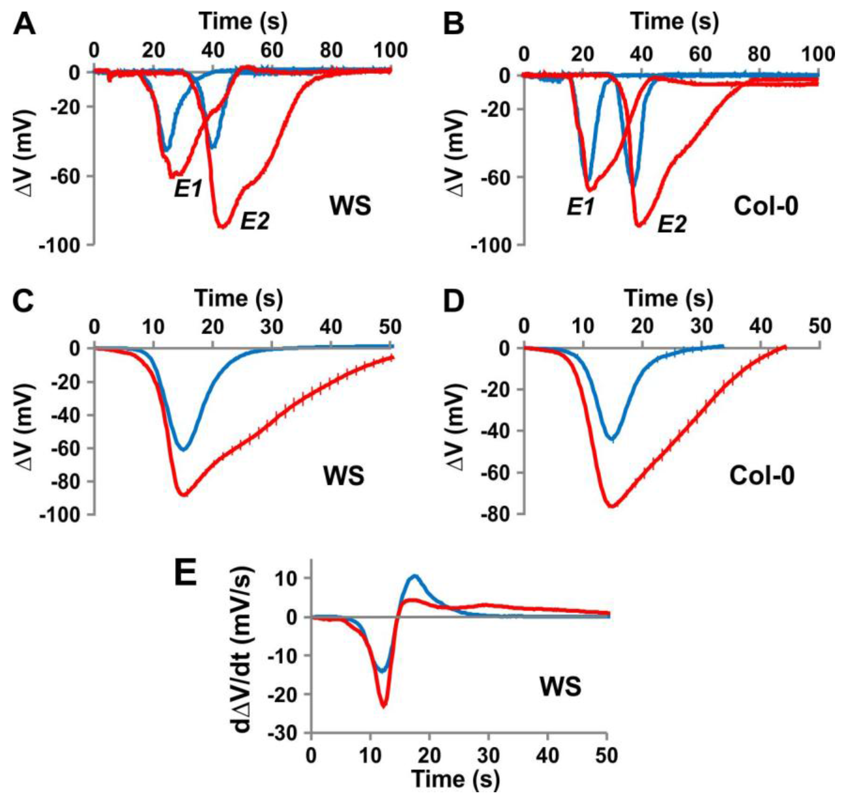 Ijms 19 00926 g003 Ijms 19 00926 g003