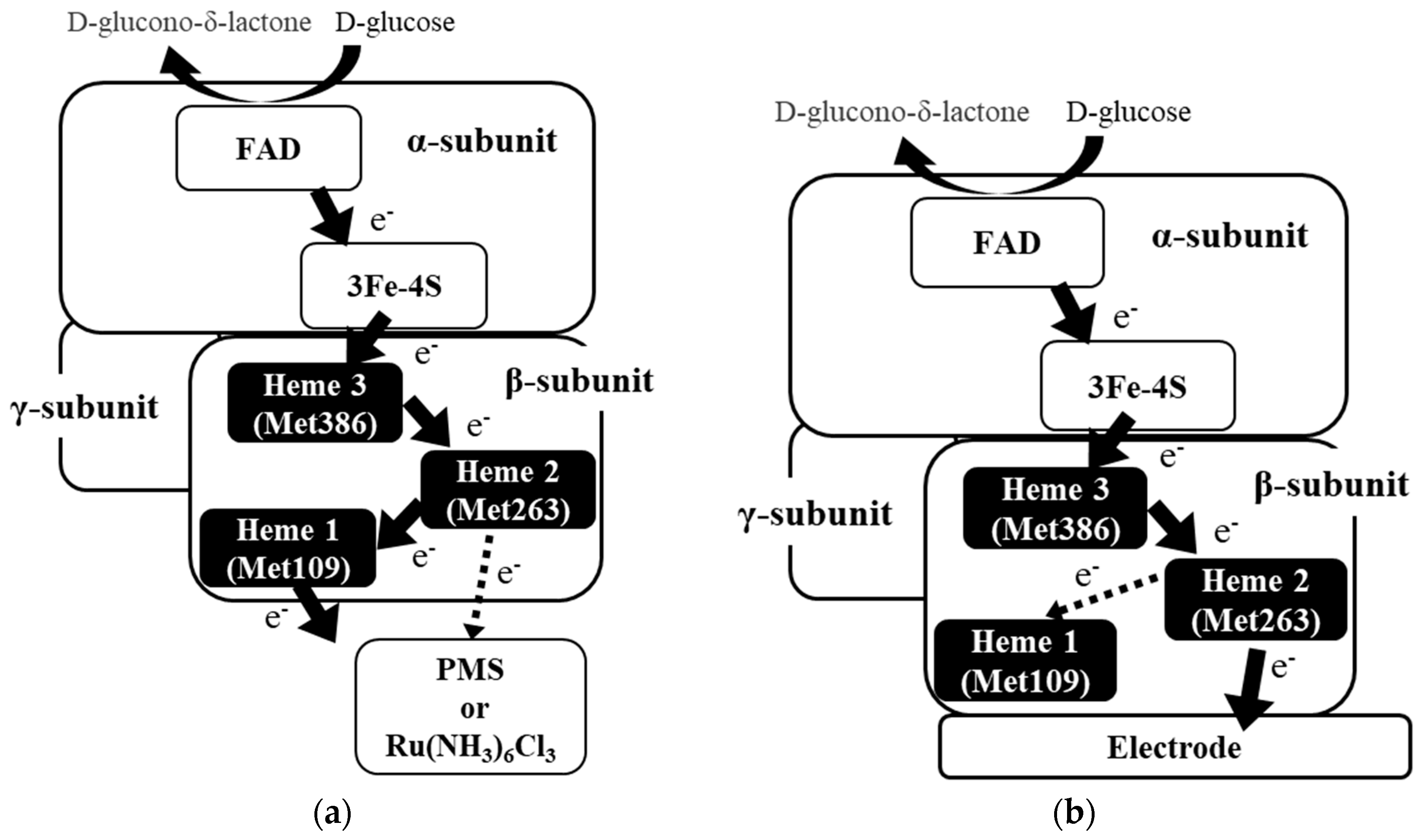 Ijms 19 00931 g005 550